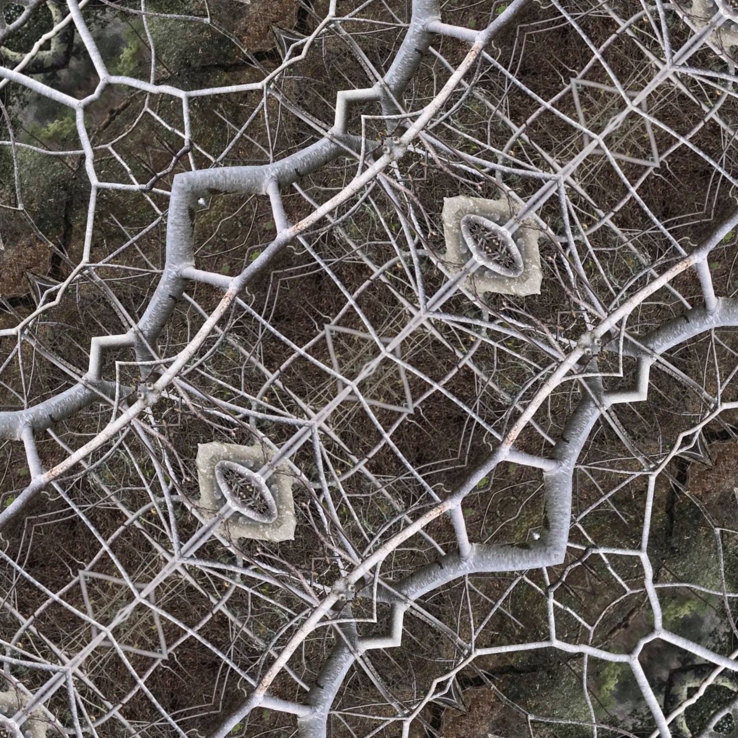 Bare Branches - 1.jpg