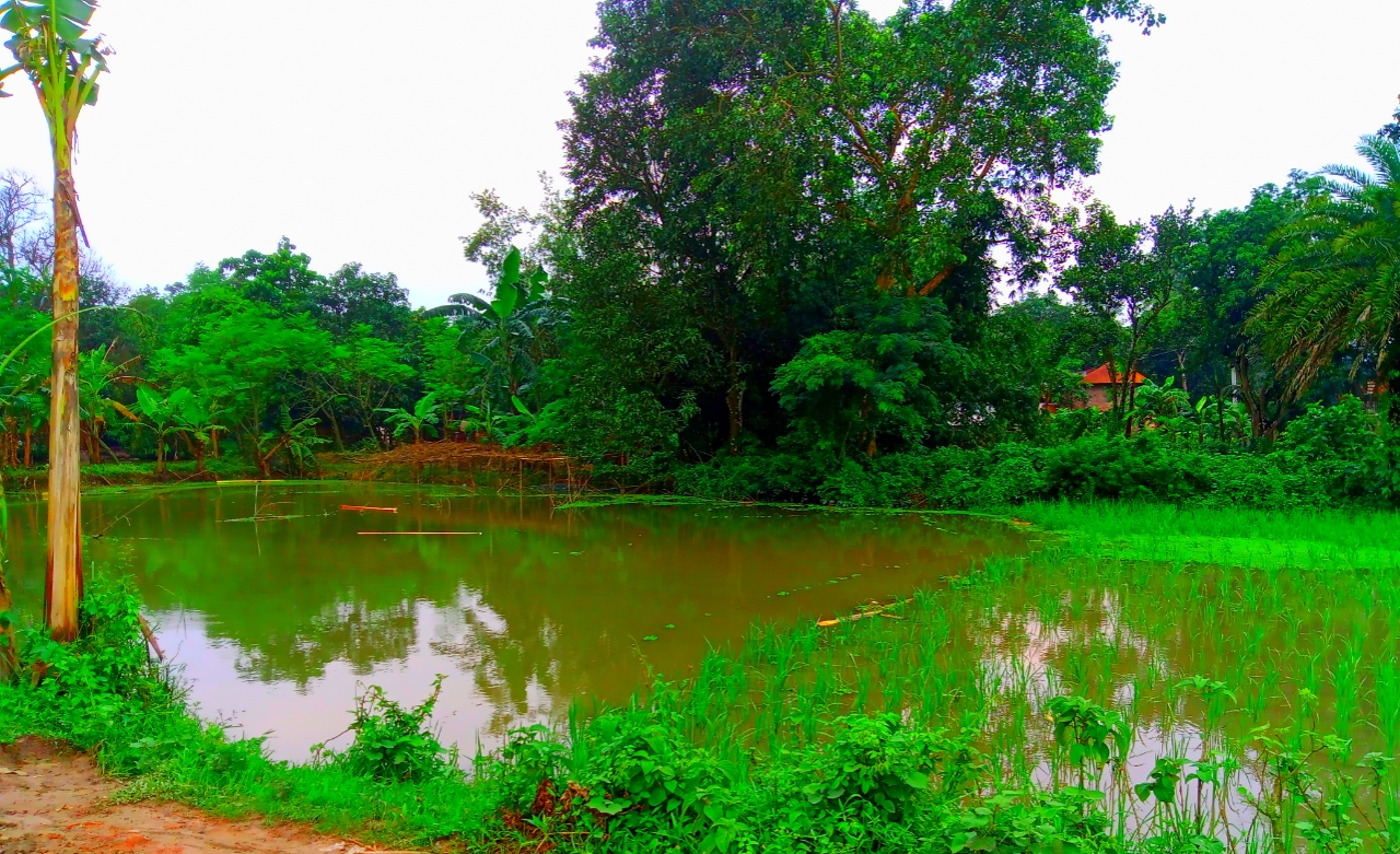 20210927_174004.jpg
