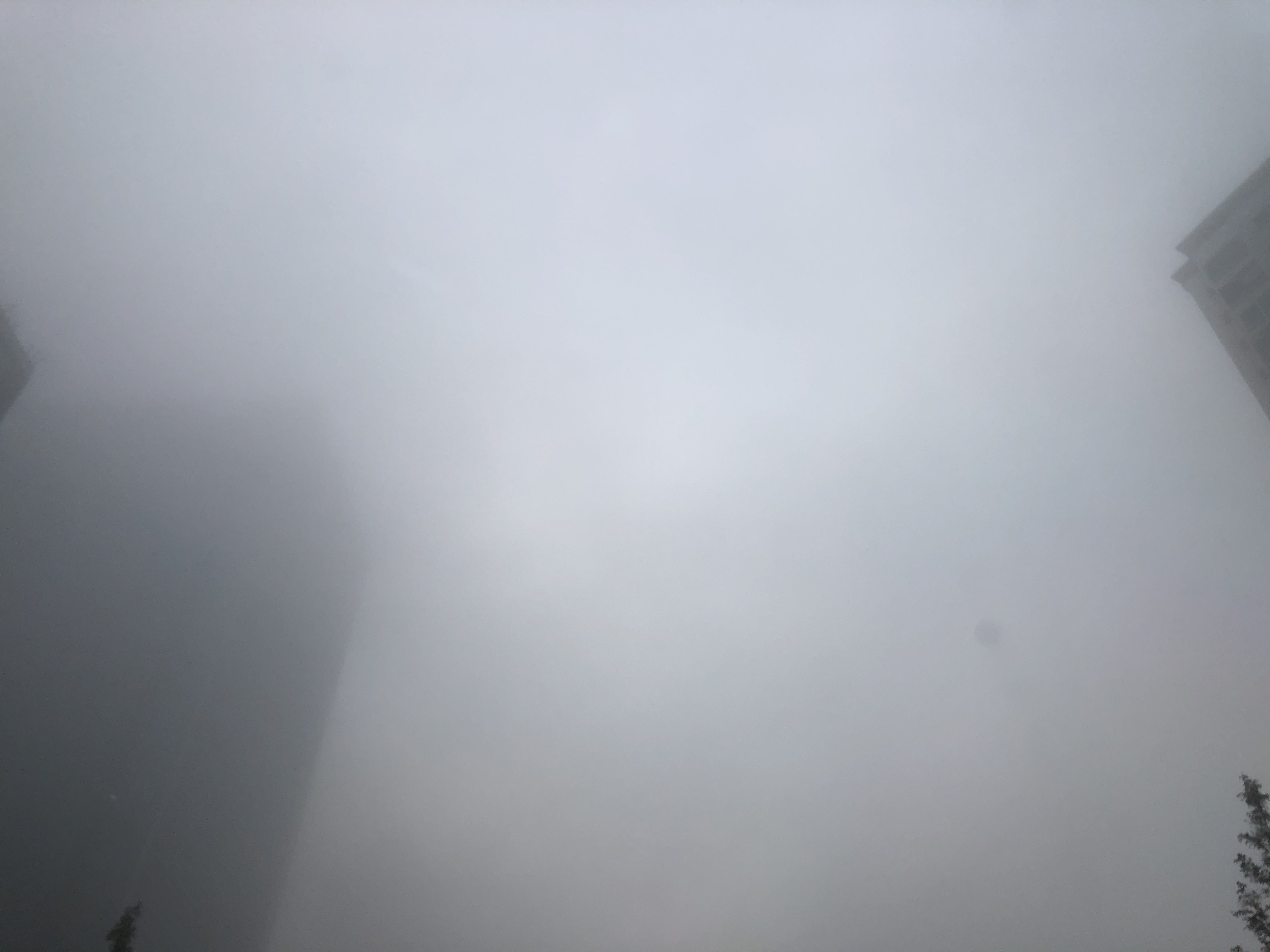 IMG_8743.jpeg