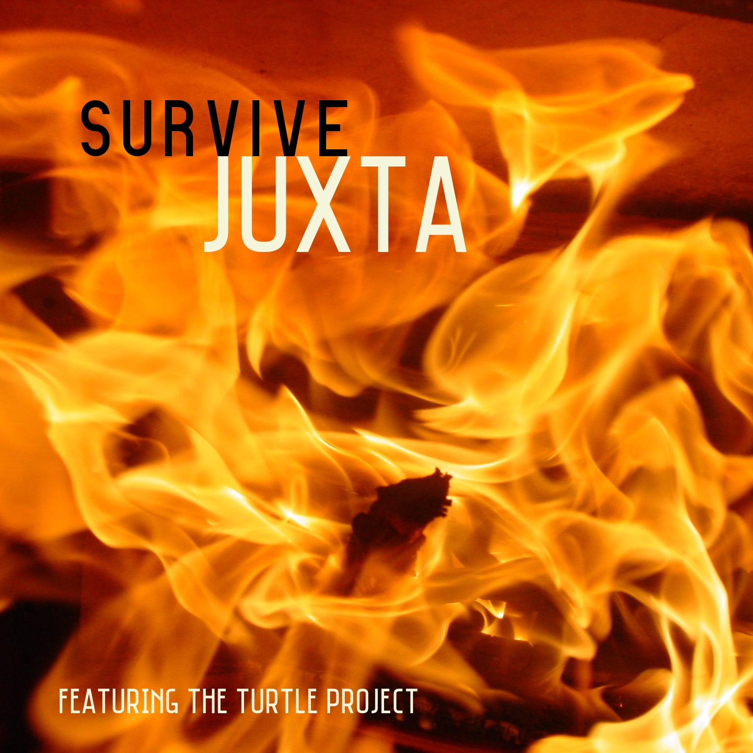 Crash And Burn by Juxta