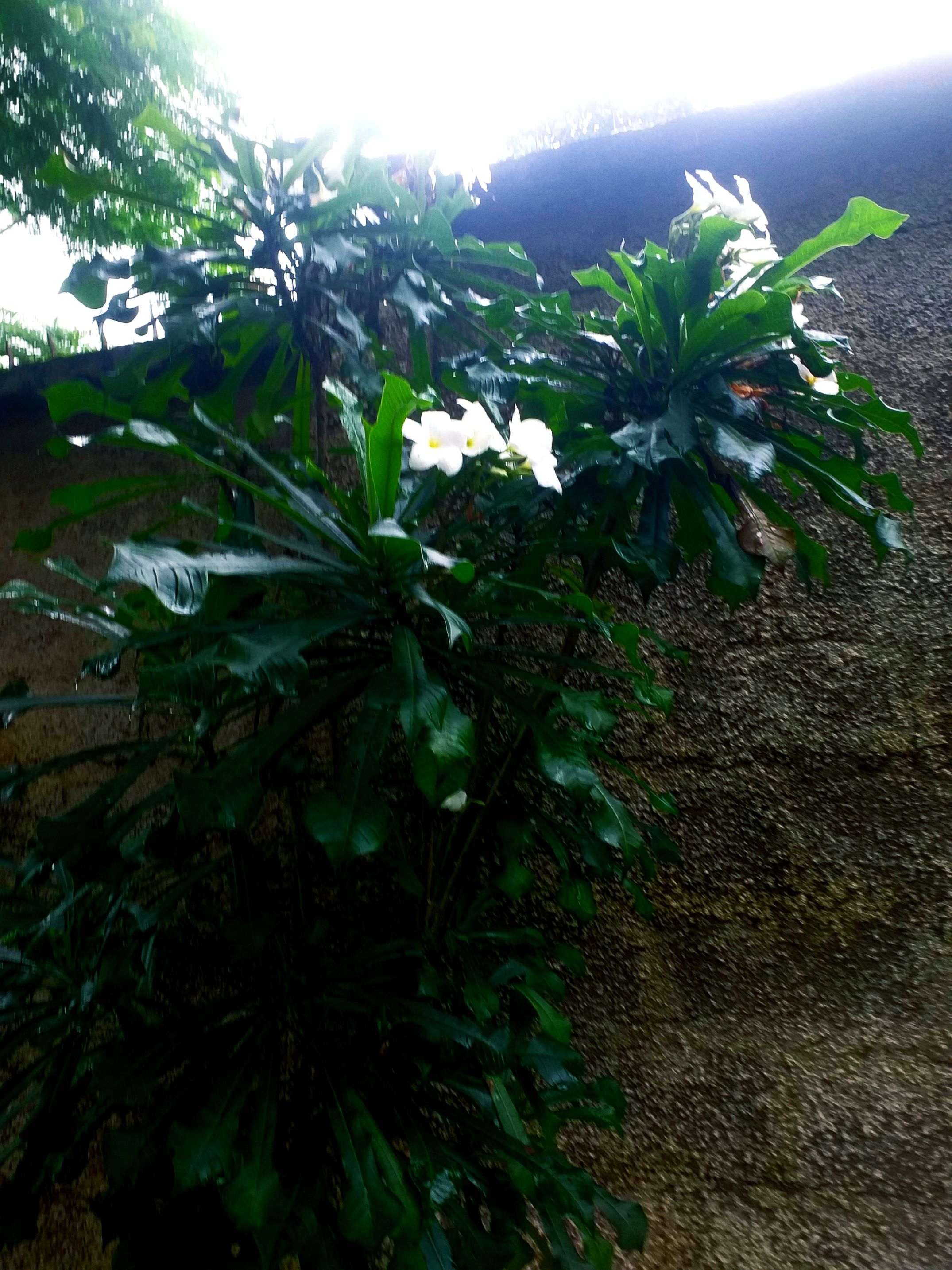 20260814_173237.jpg