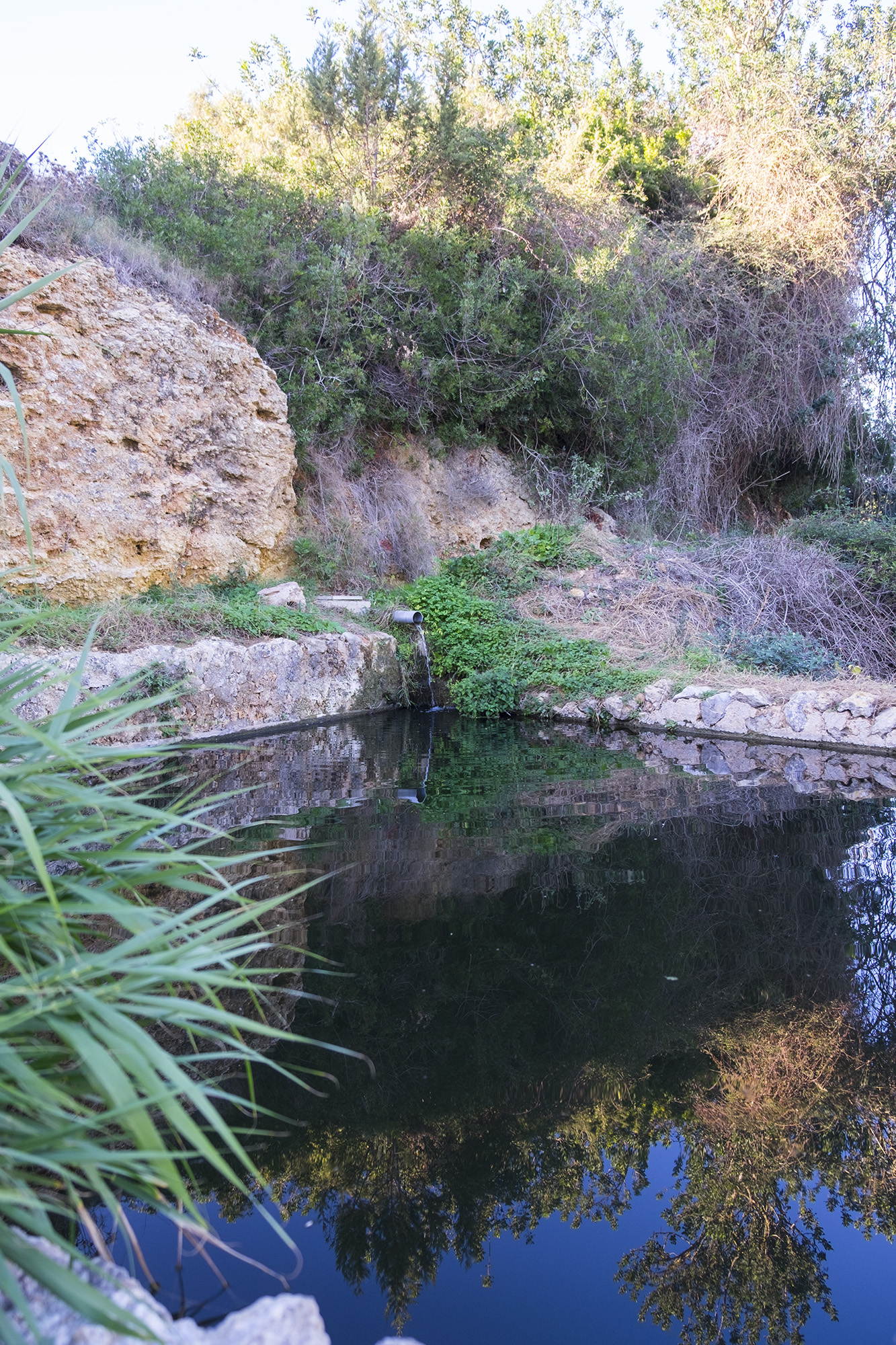 _DSF0073.jpg