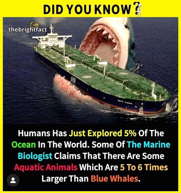 FB_IMG_16189564927714383.jpg