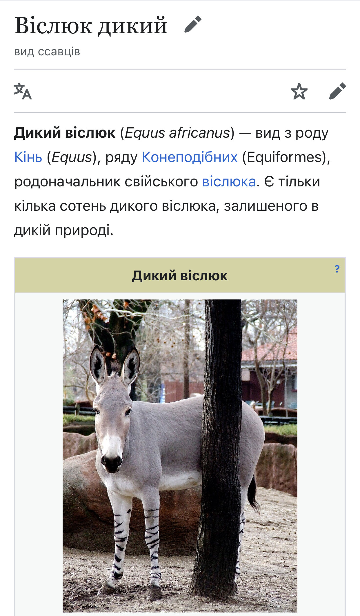 IMG_2648.jpeg