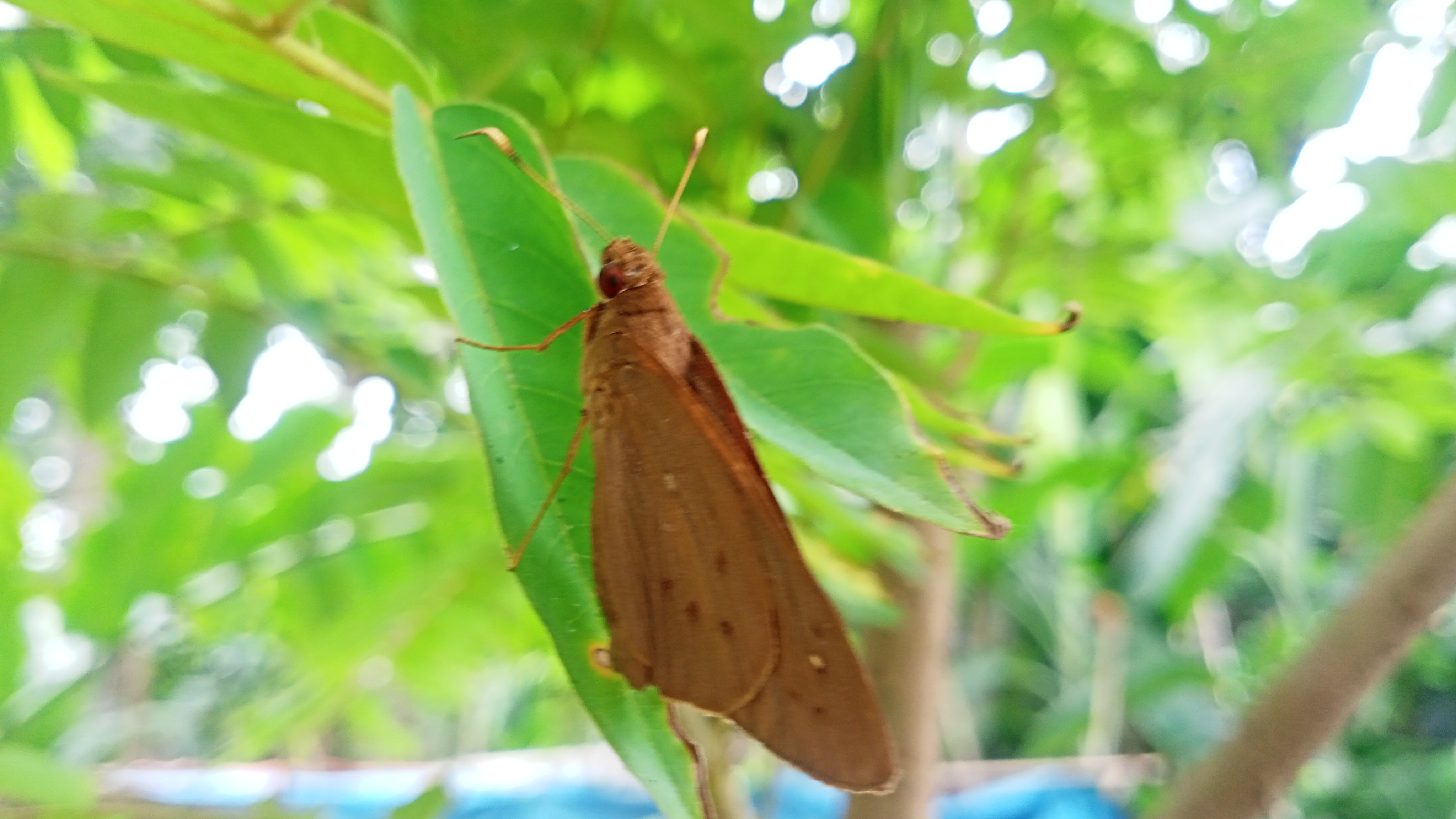 IMG20250428154158.jpg