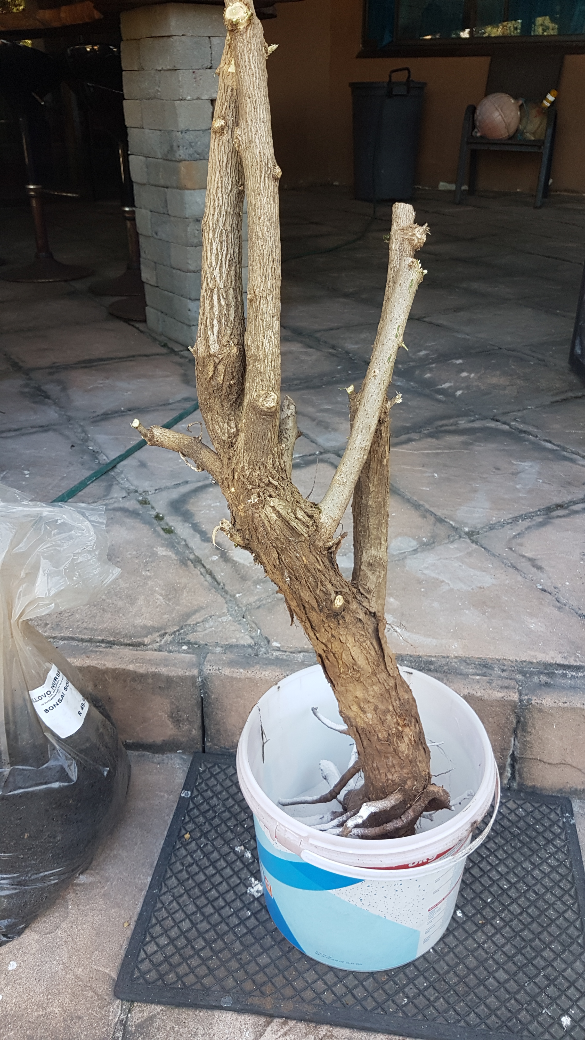 20190623_141513.jpg