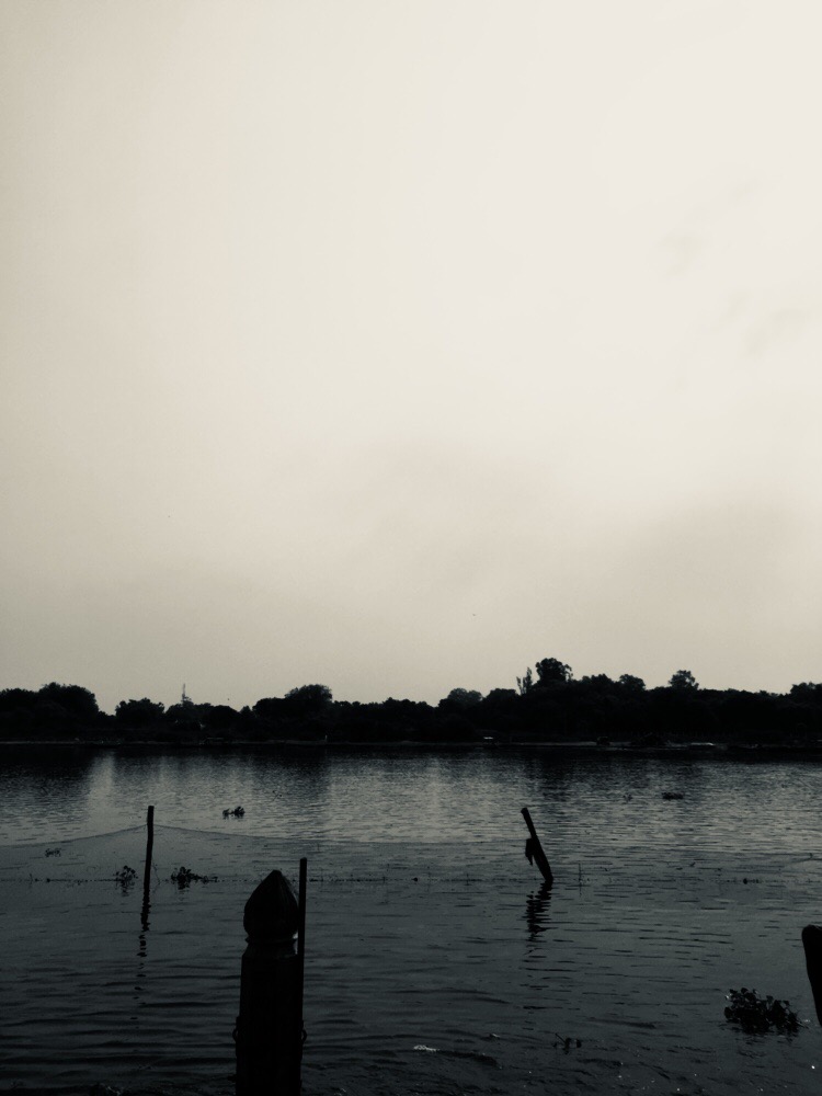 7D8A9F5A-C549-4363-A25B-4CC281F2128A.jpeg