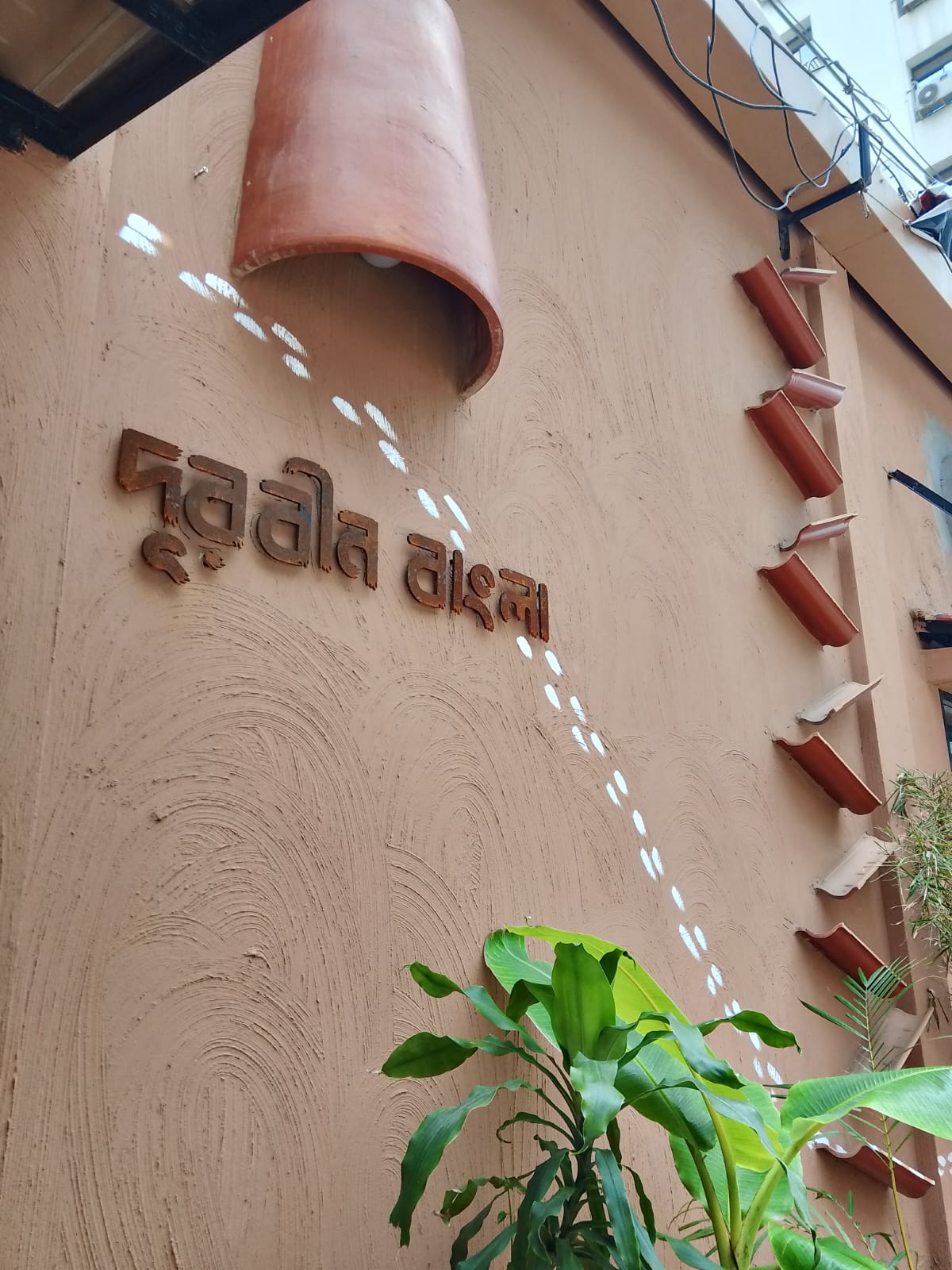 1000033837.jpg