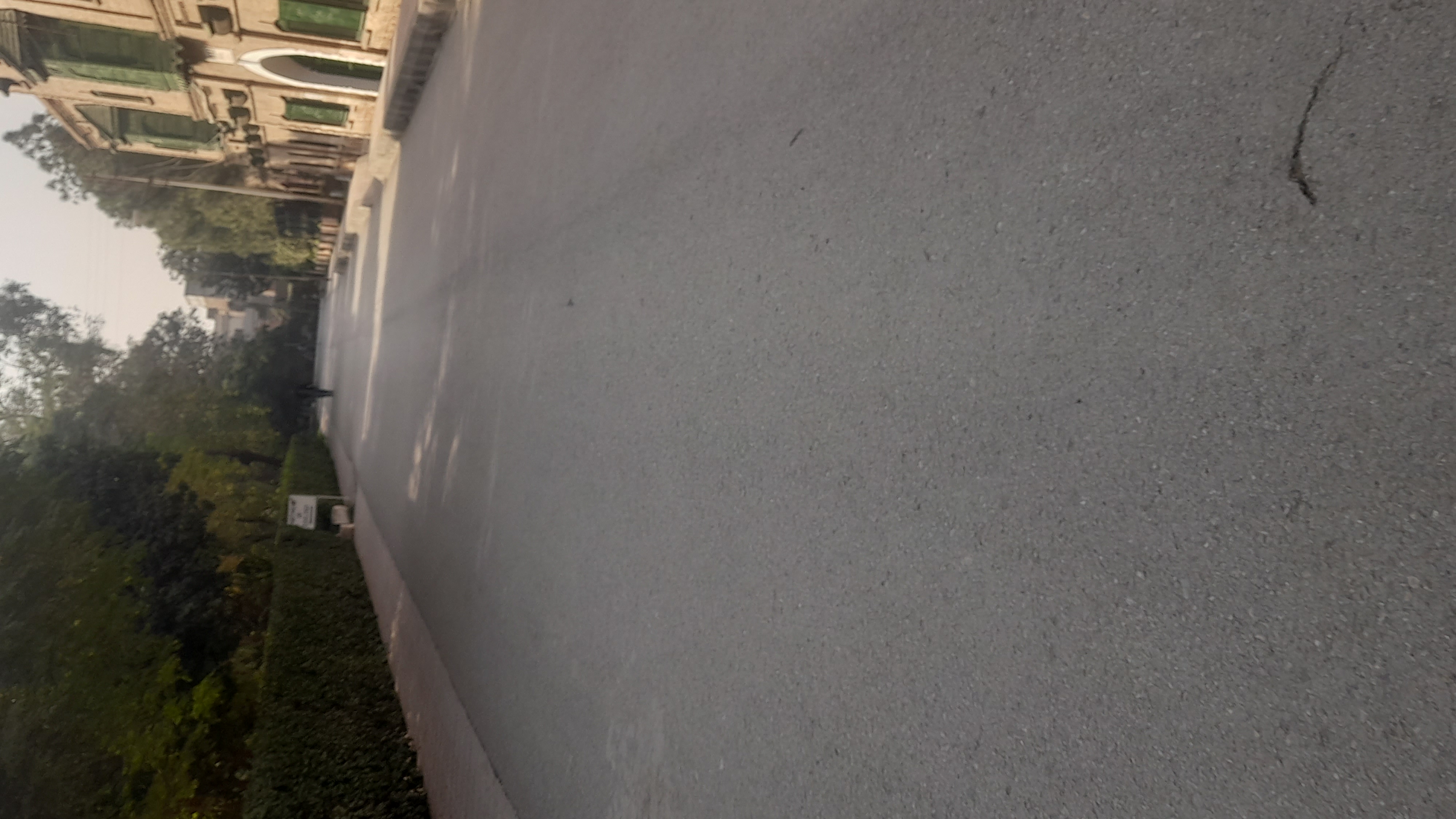 20251113_135416.jpg