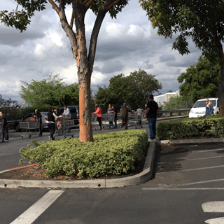 D2BD1B6F-E665-491A-A05D-9A9D7AB44120.gif