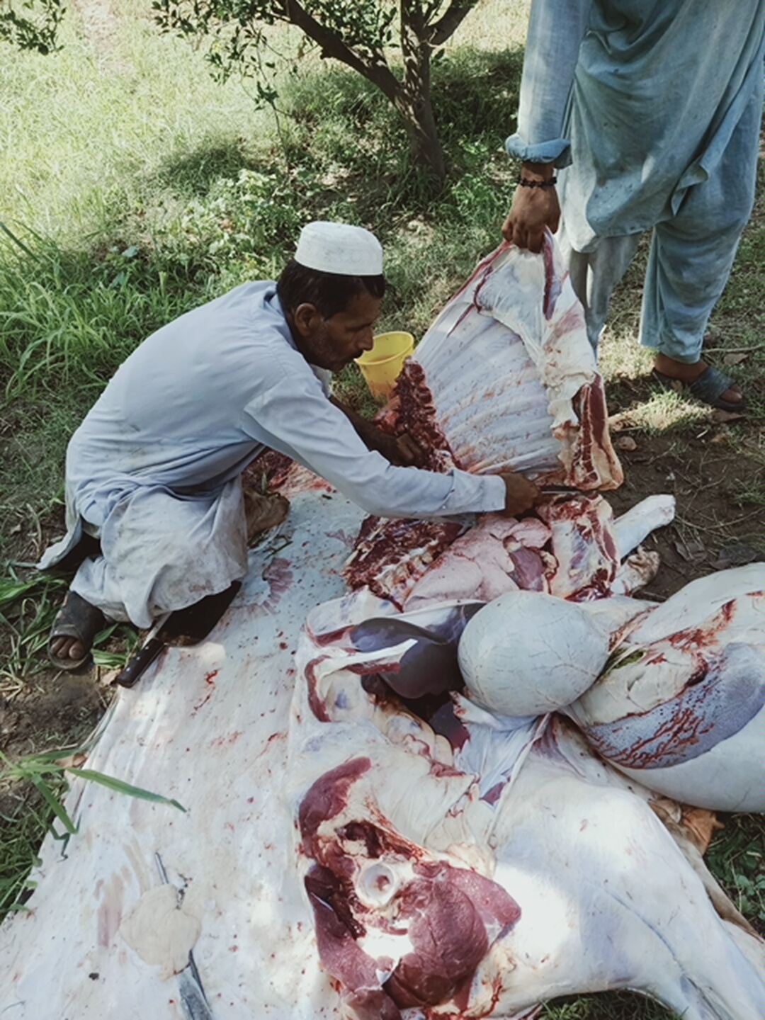 IMG20210722094009.jpg