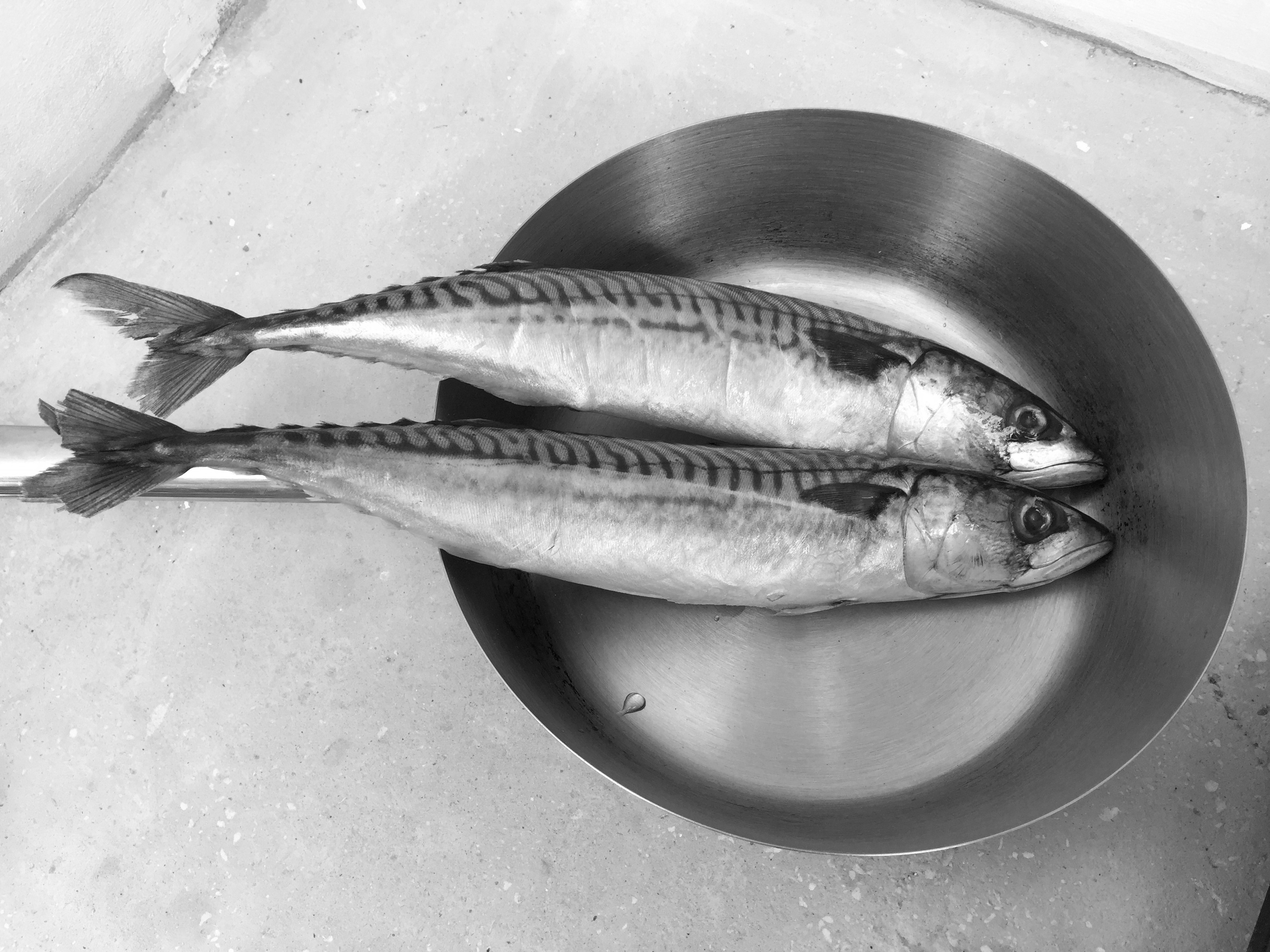IMG7363BW.JPG