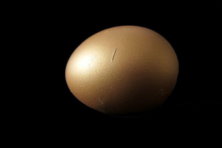 egg-3243941__480.jpg
