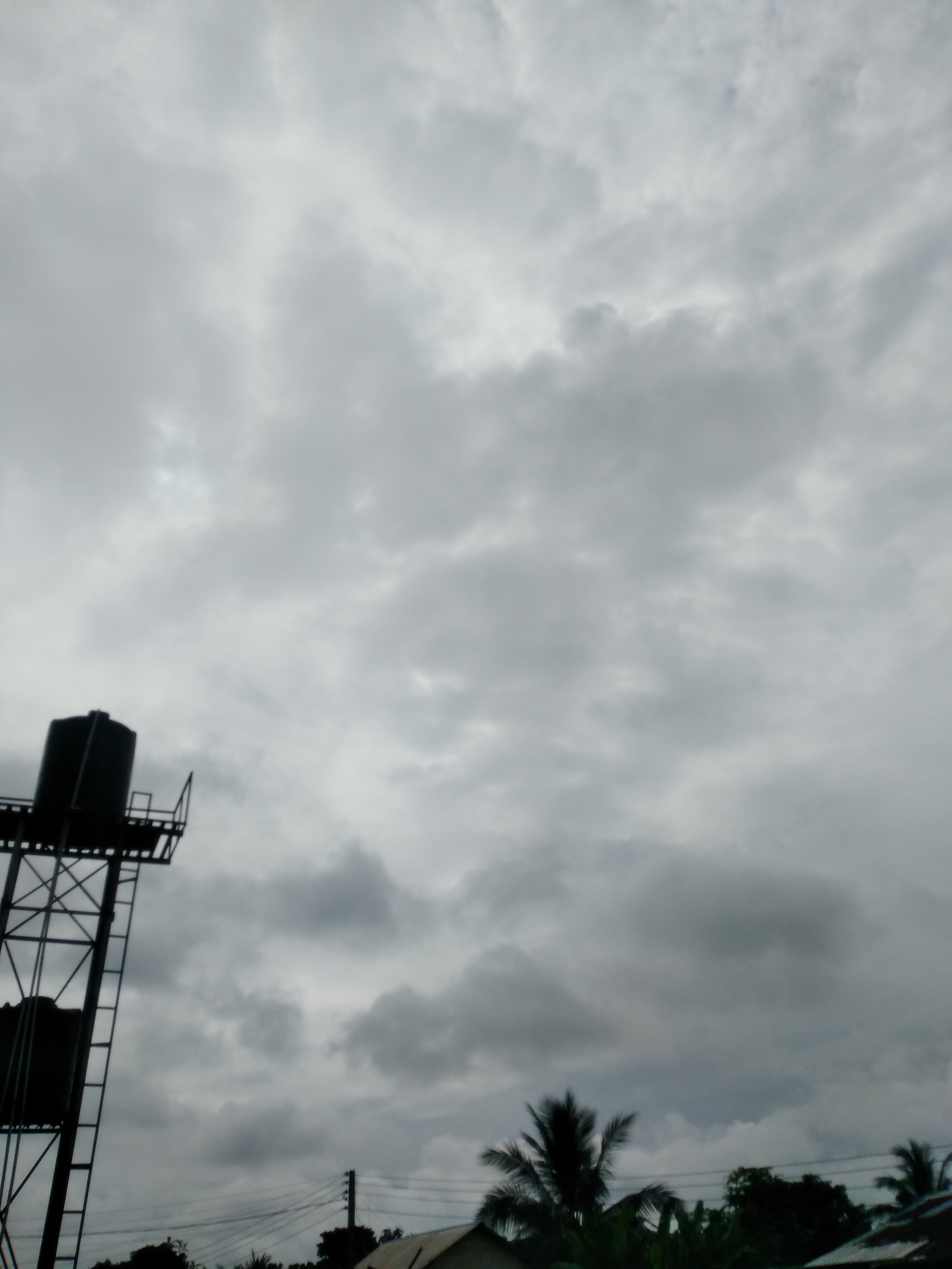 IMG_20200926_090927.jpg