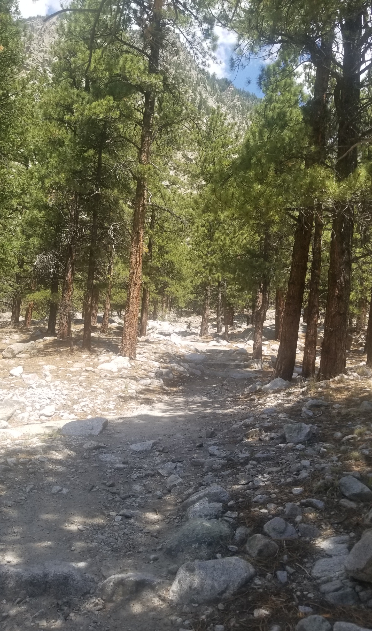 20180710_152344.jpg