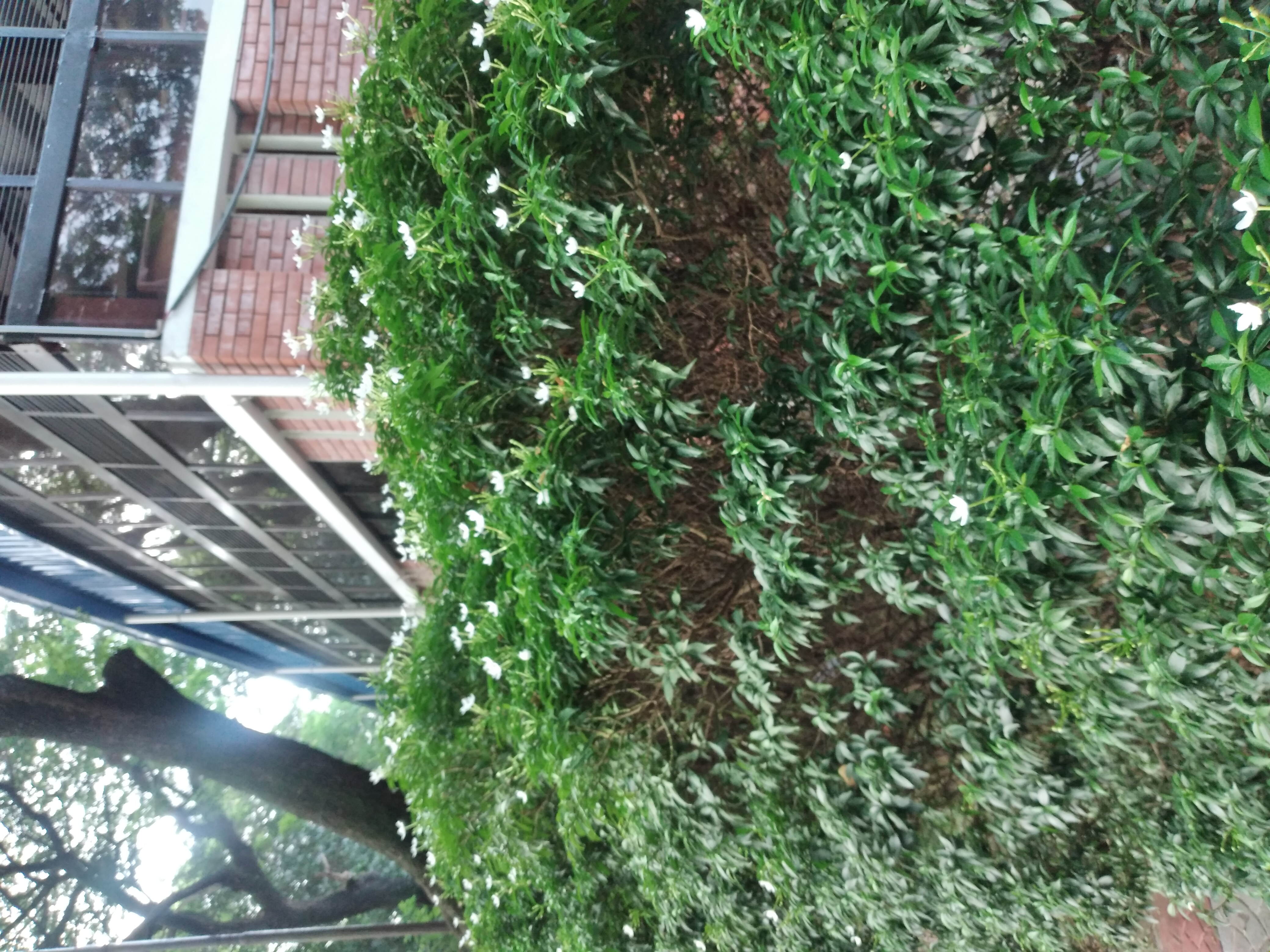 20240917_082555.jpg