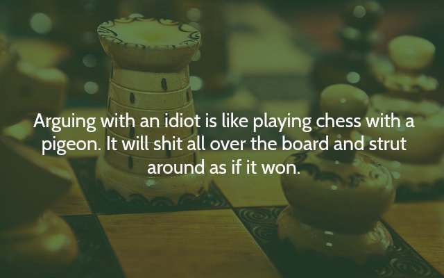 idiotpigeon.jpg