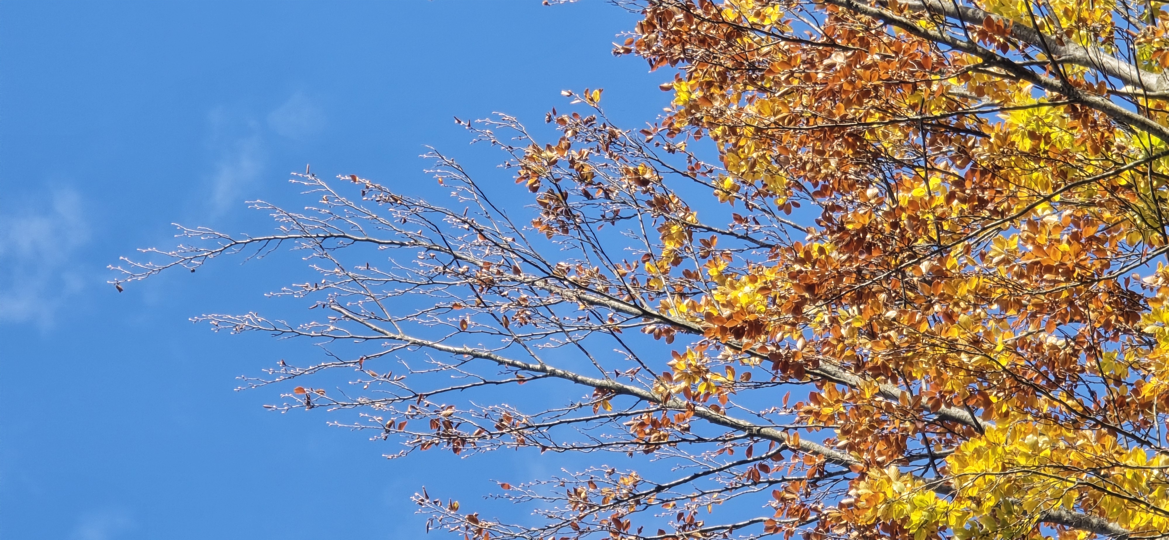 20251009_154325.jpg