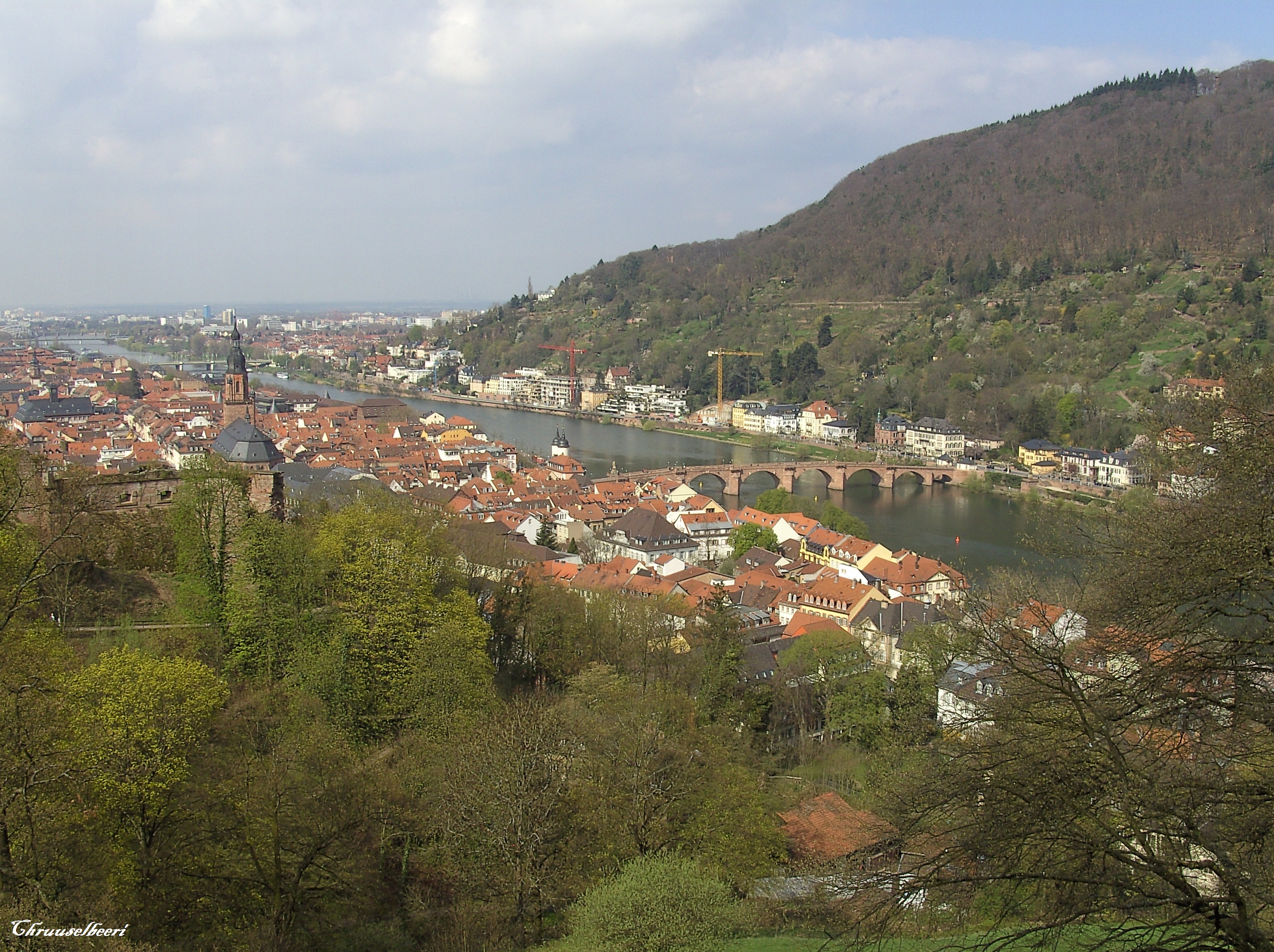 Duft_03.jpg
