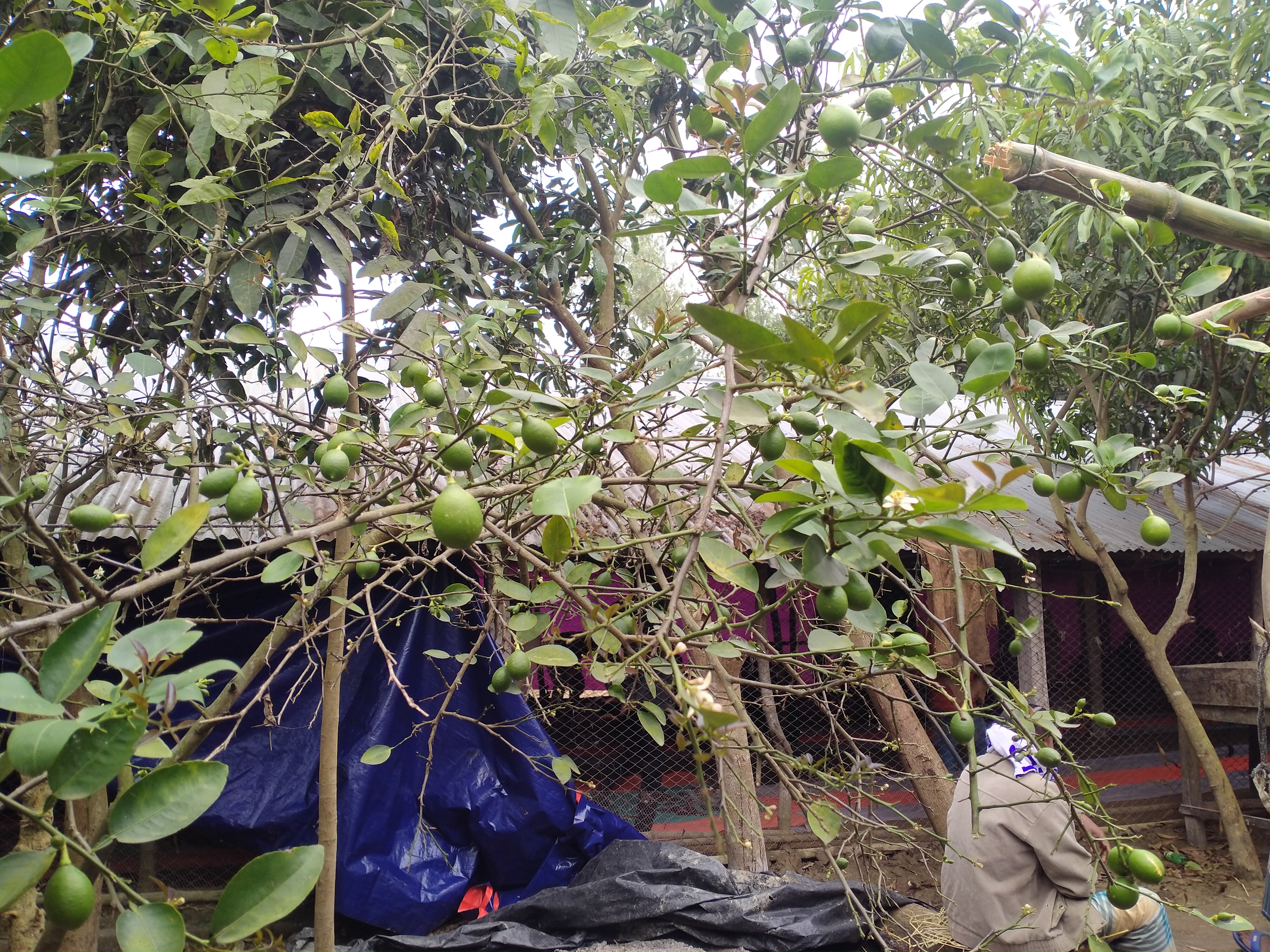 IMG20220206132510.jpg