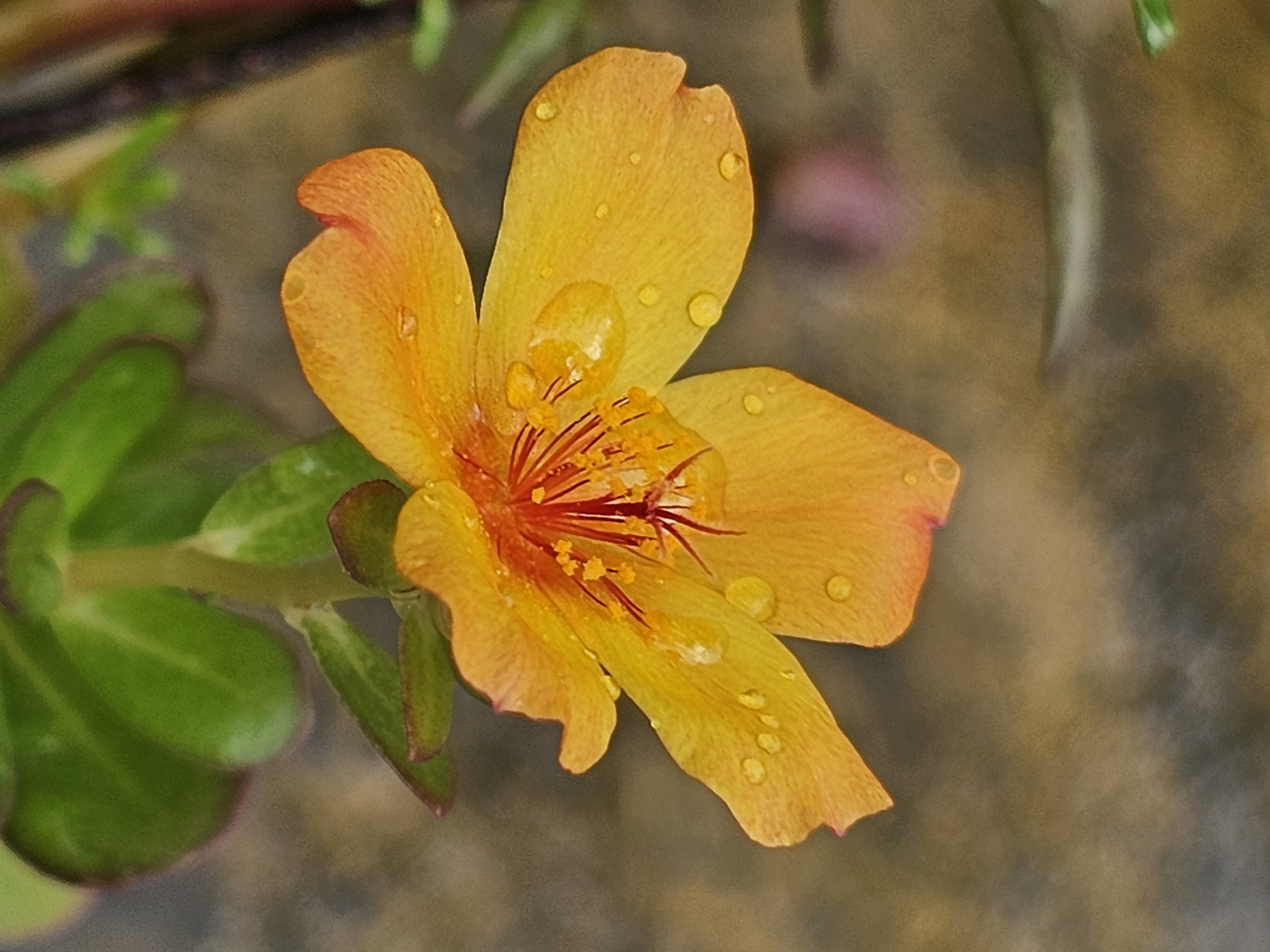 20250618_104516.jpg