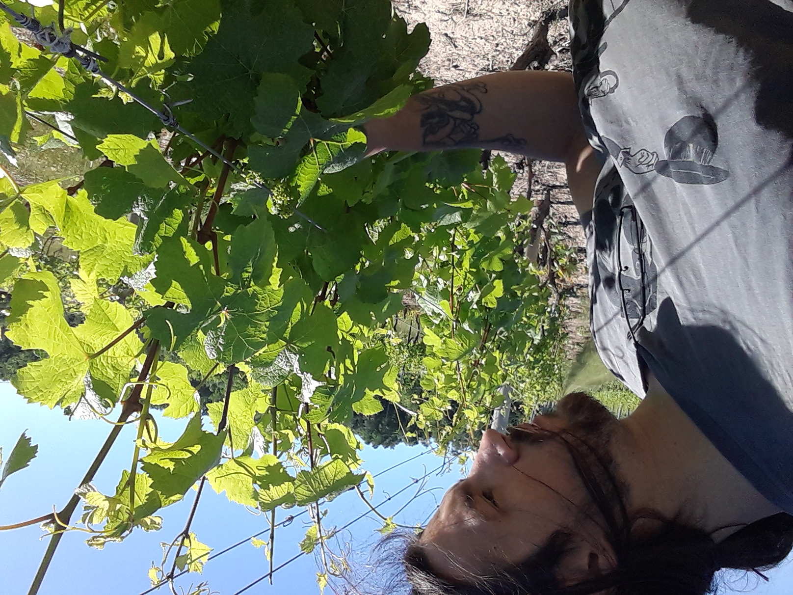 20180614_101329.jpg