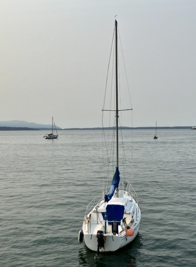 IMG_7523.jpg