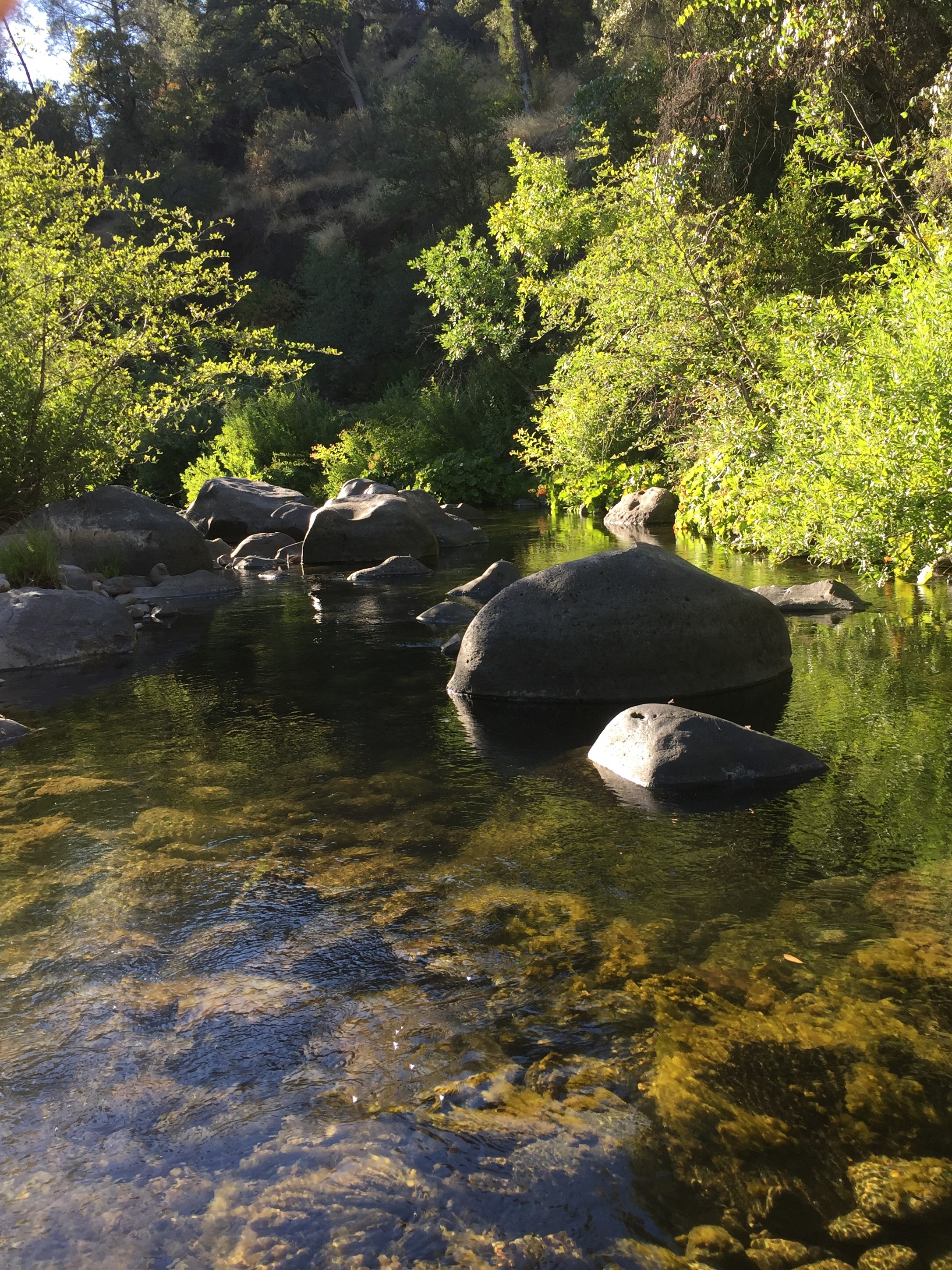 image1 (4).jpeg