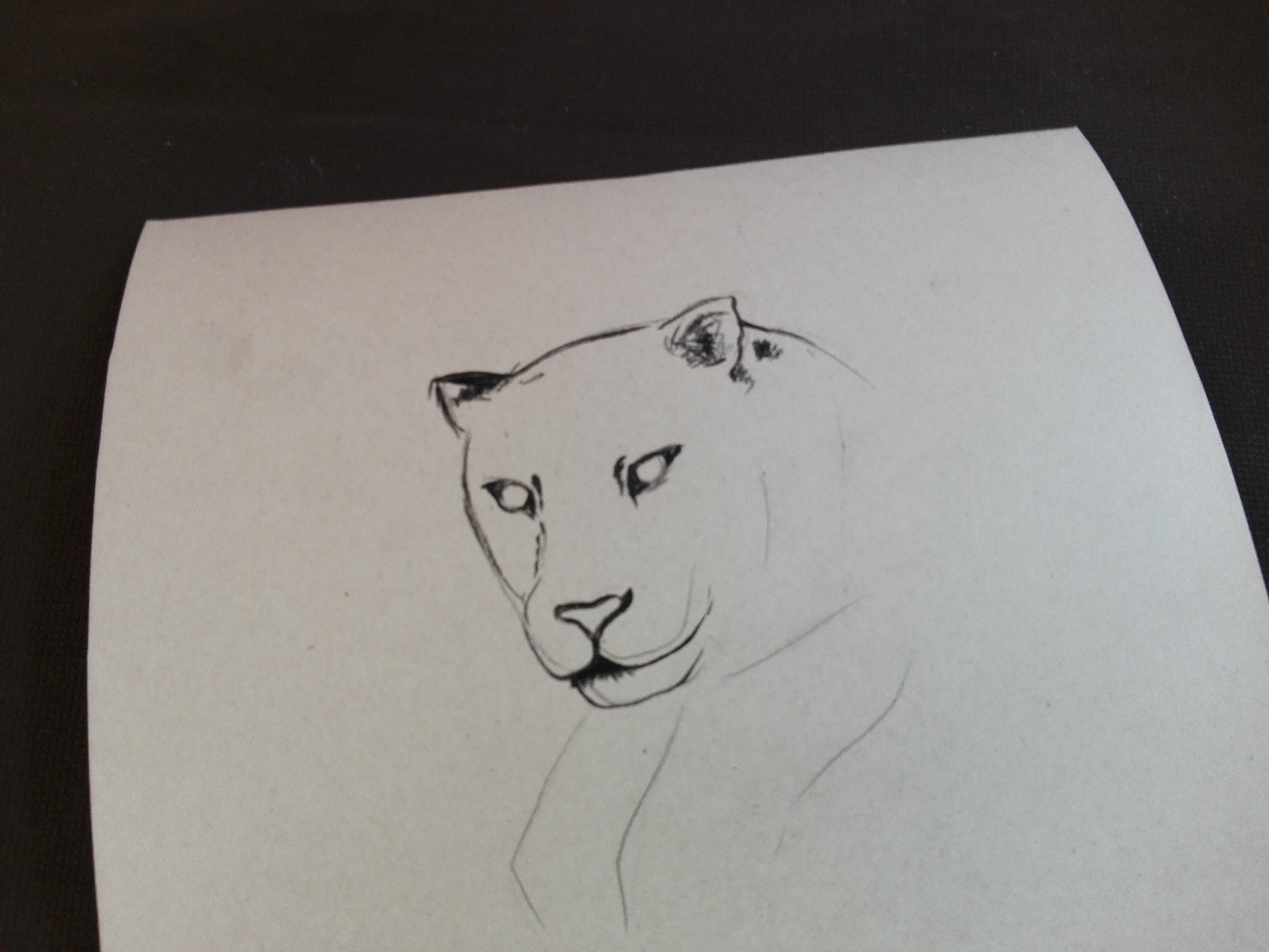 ldrawing(9).jpg