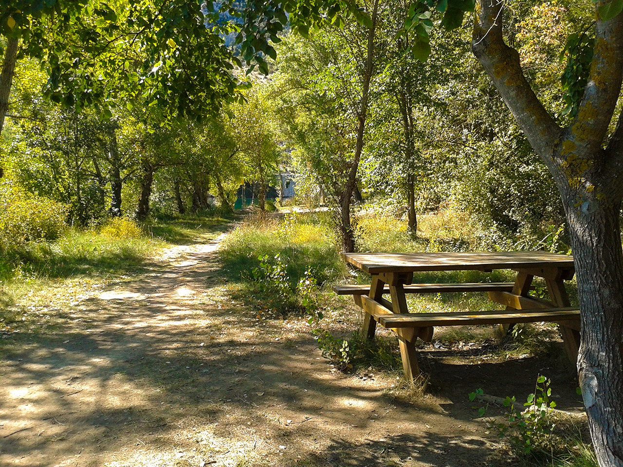20130914_122333.jpg