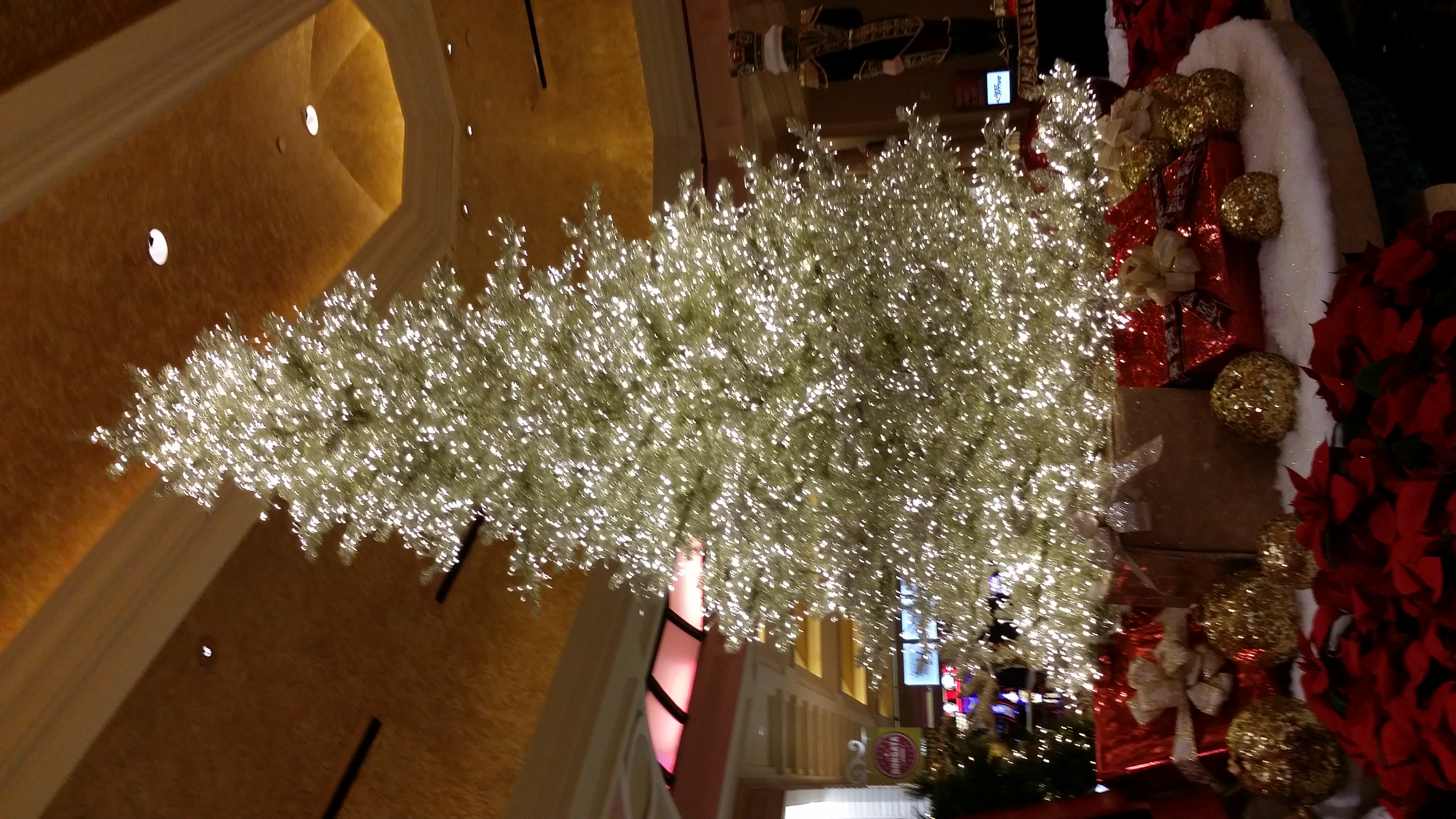 20181126_135057.jpg