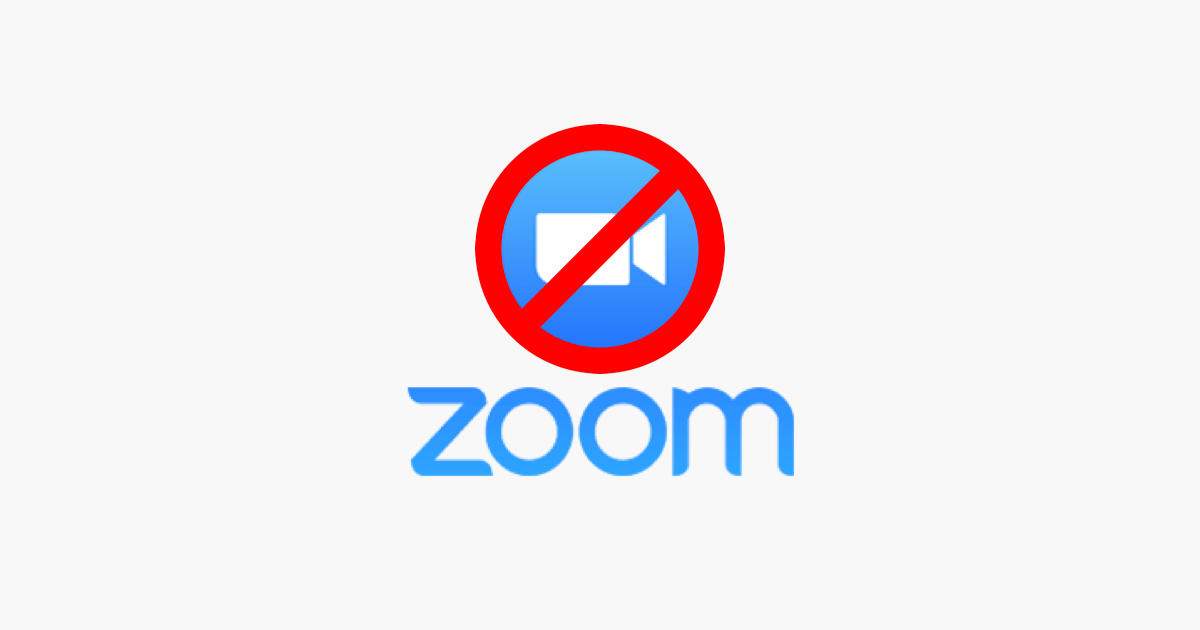 zoom_bug_image.png