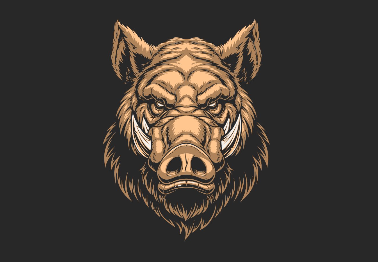 Steemit profile picture for @boar