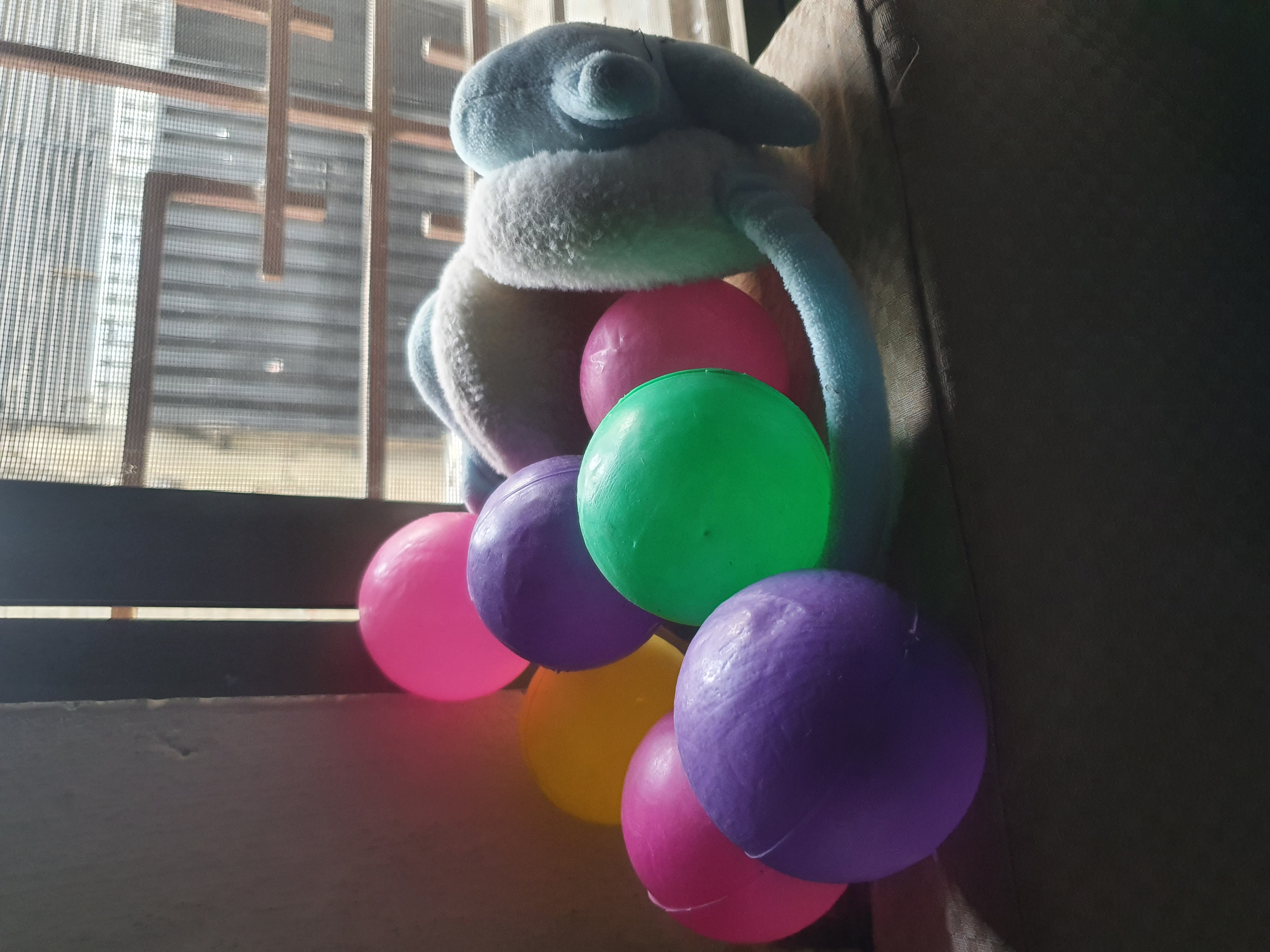 20250314_074234.jpg