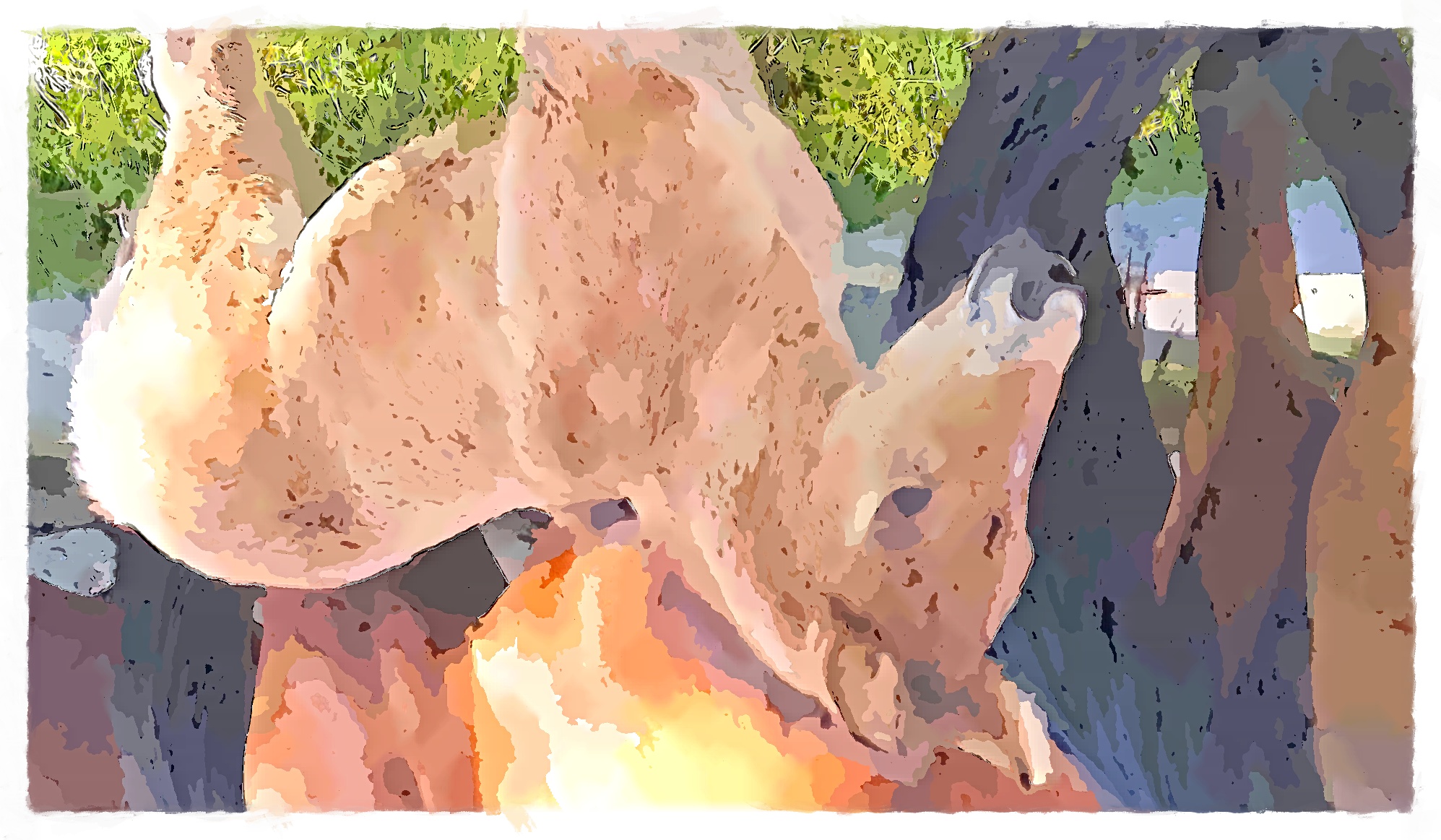 IMG_20220622_090843_399_FotoSketcher.jpg