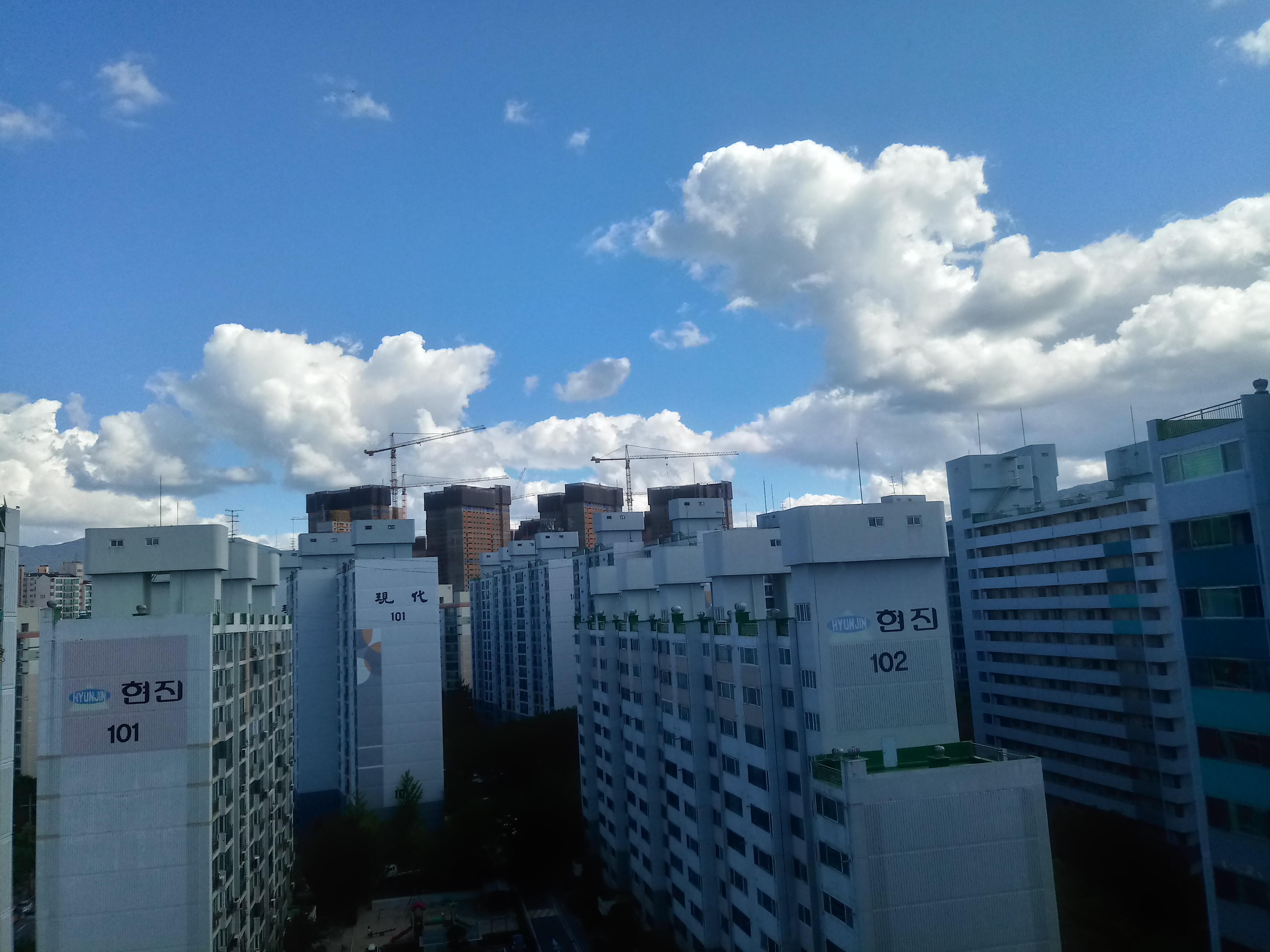 20180910_135538_HDR.jpg