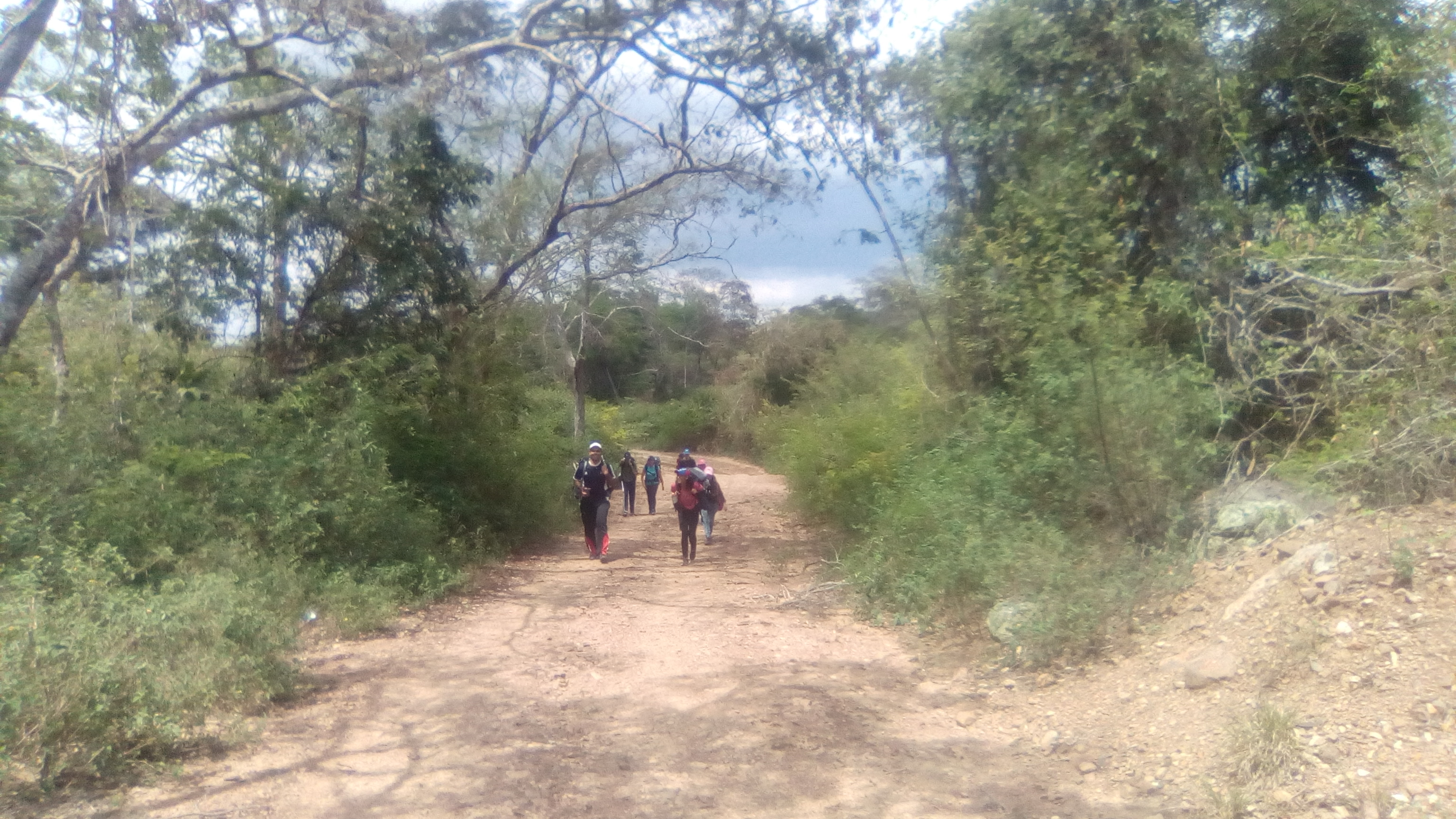 Caminata 2.jpg