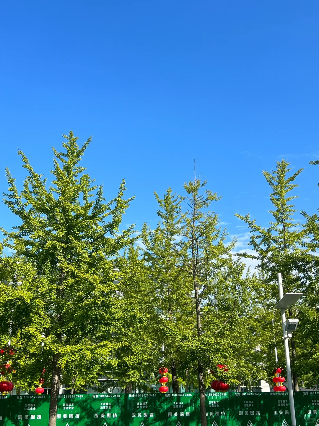 364.webp