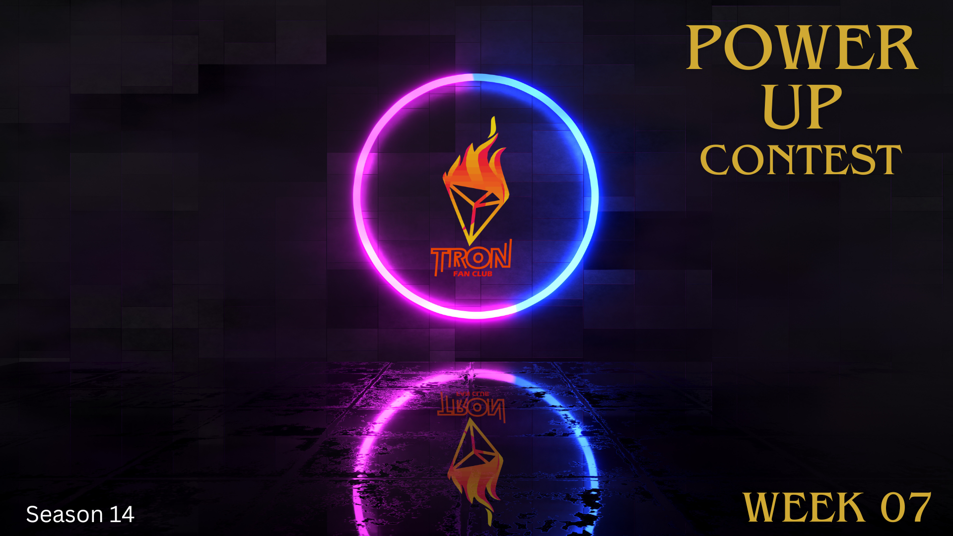 pucs14w7.png