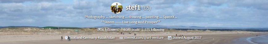 stef.jpg
