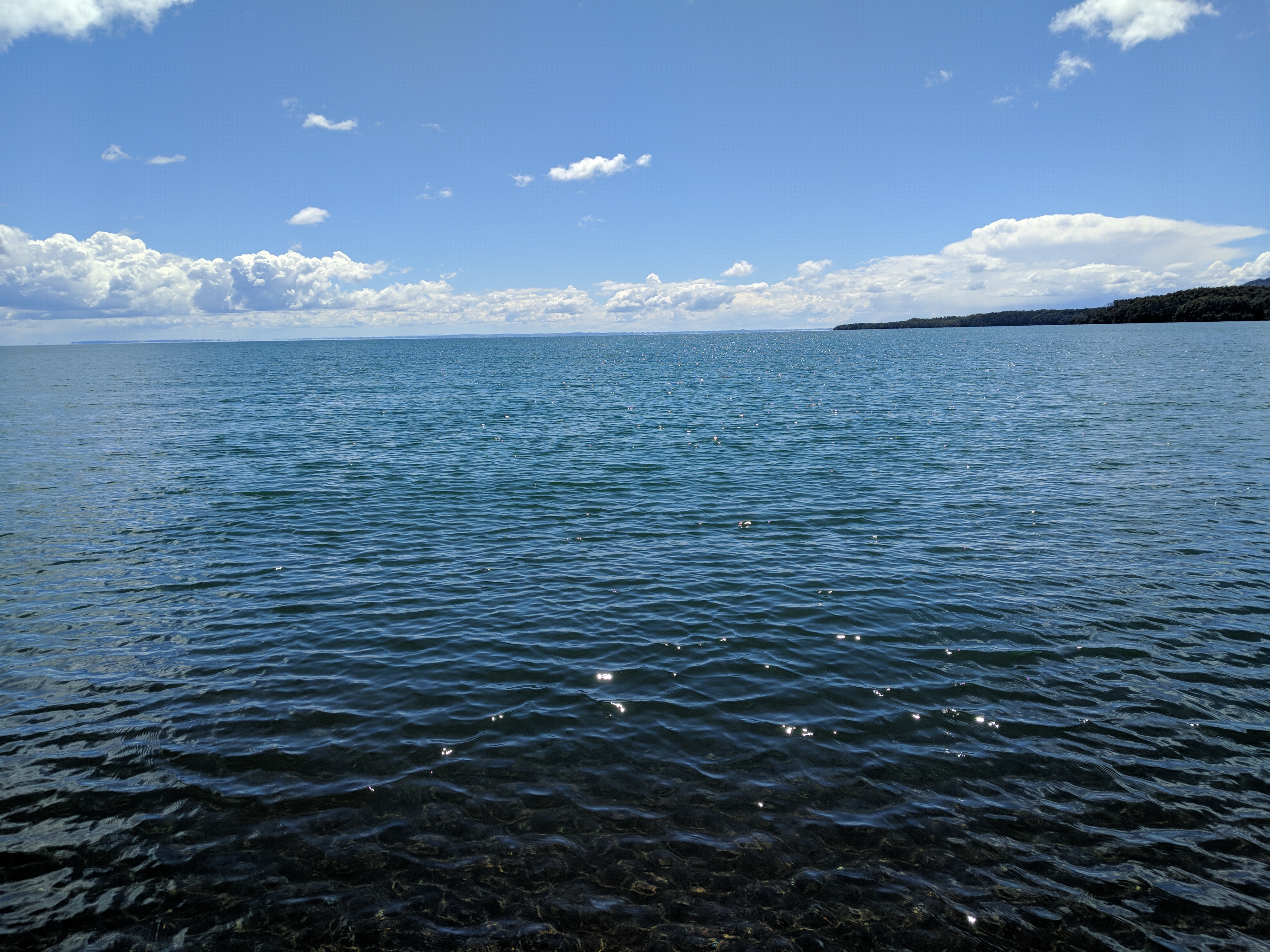 IMG_20190109_153109.jpg