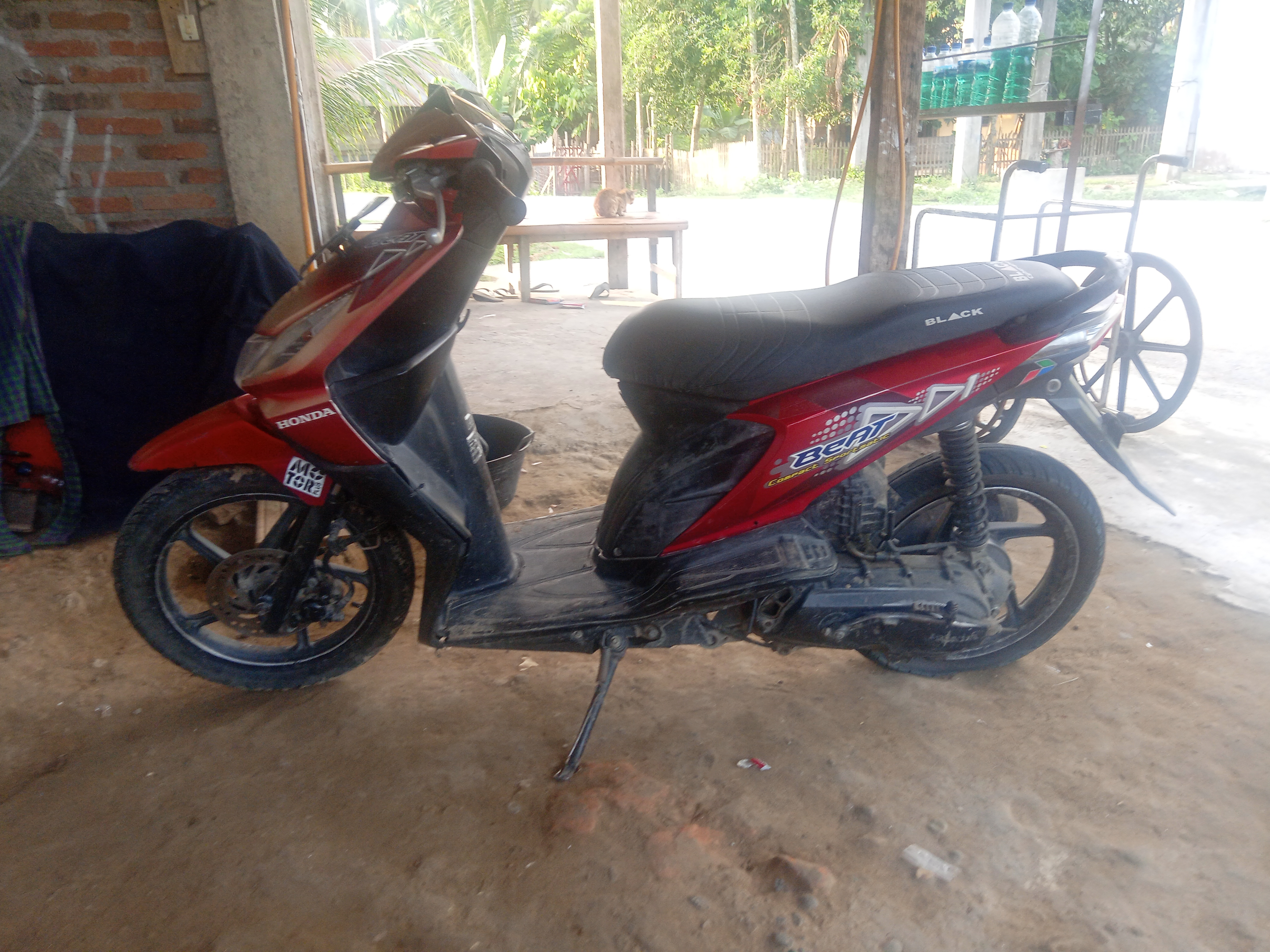 IMG20210603072401.jpg