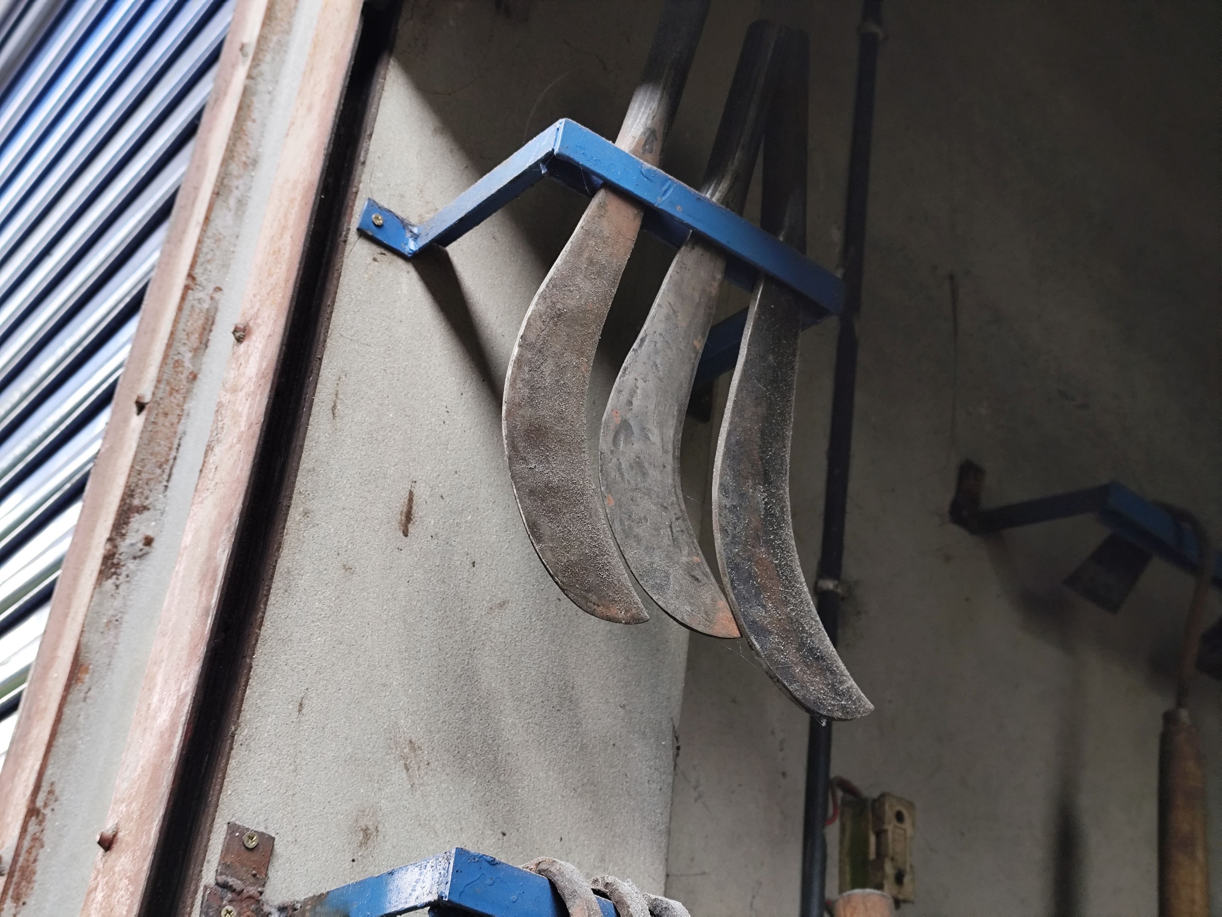 1000080395.jpg