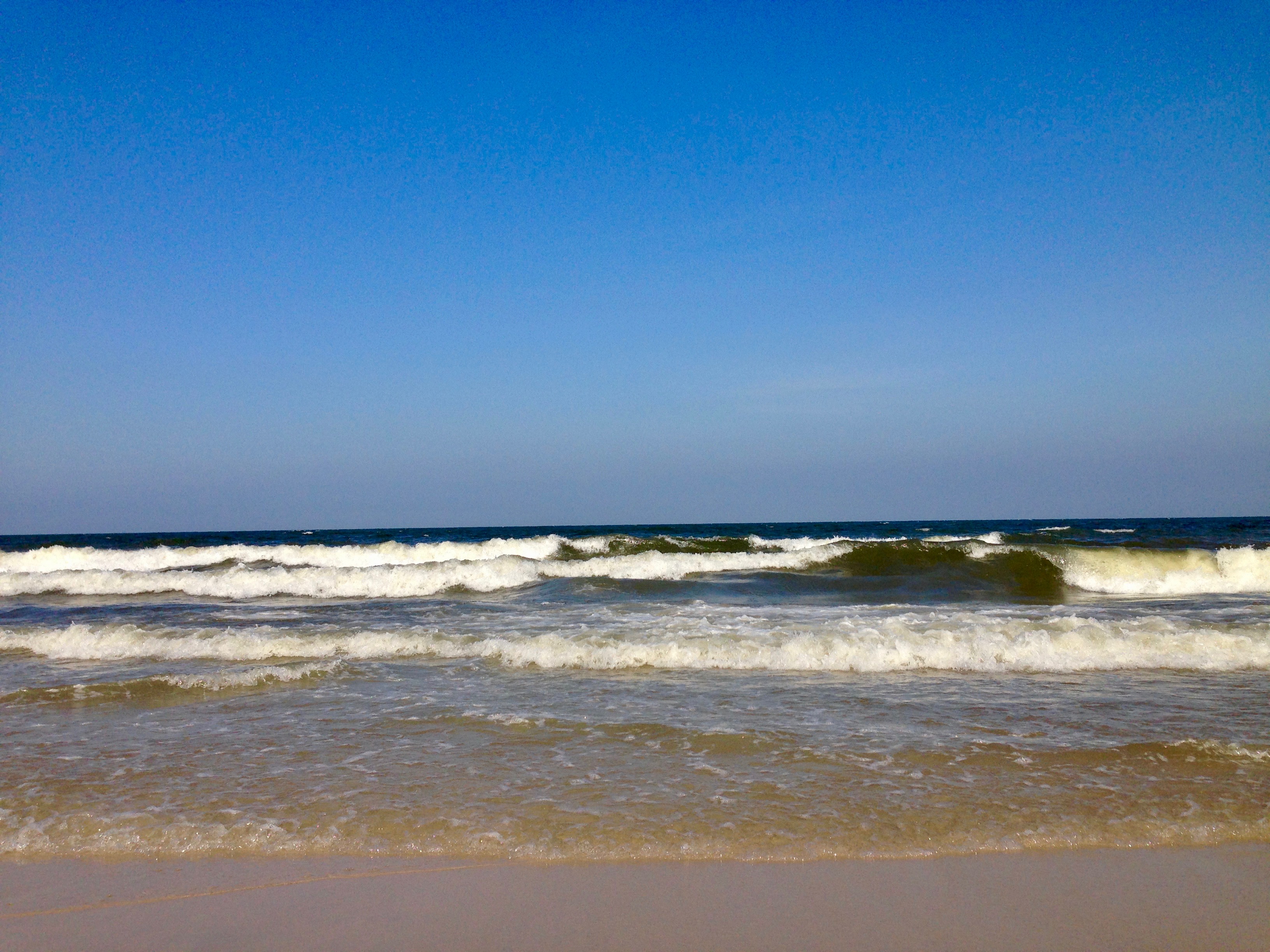 IMG_5580.jpeg