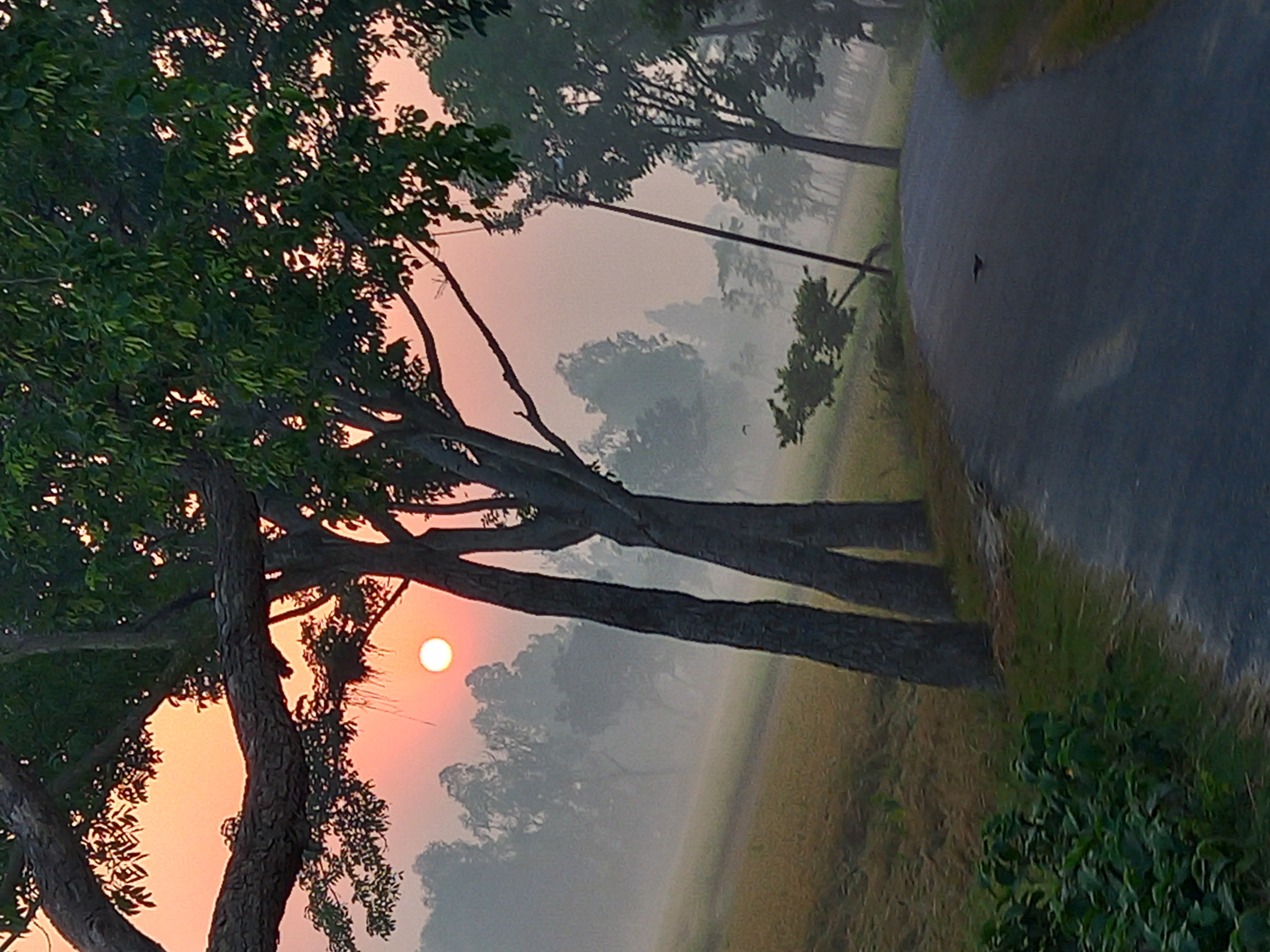 20230508_054614.jpg
