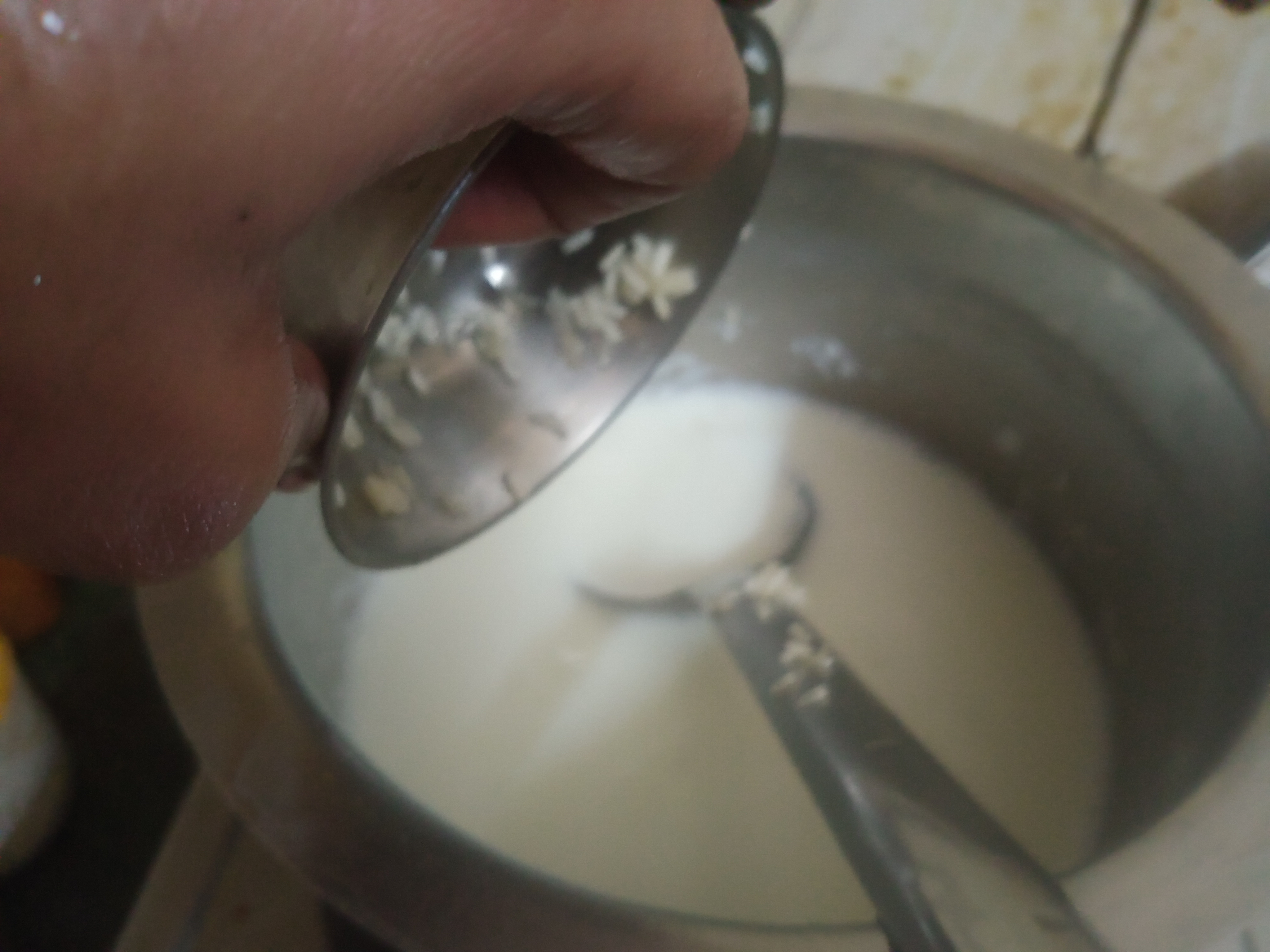 IMG20260321191910.jpg