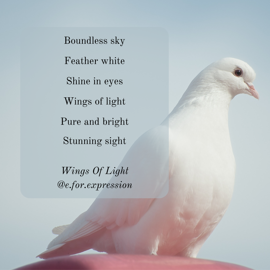 149. Wings Of Light.png