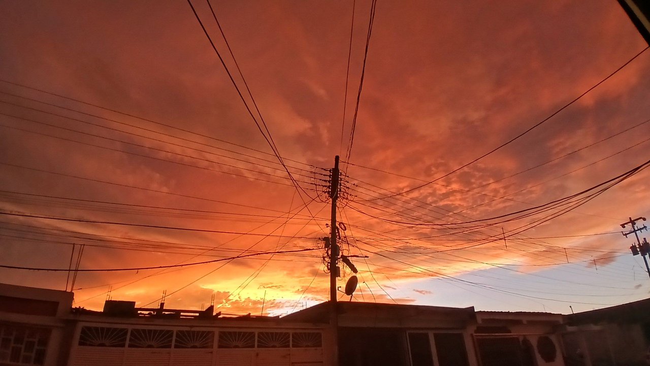 17808850534702506300940241102524.jpg