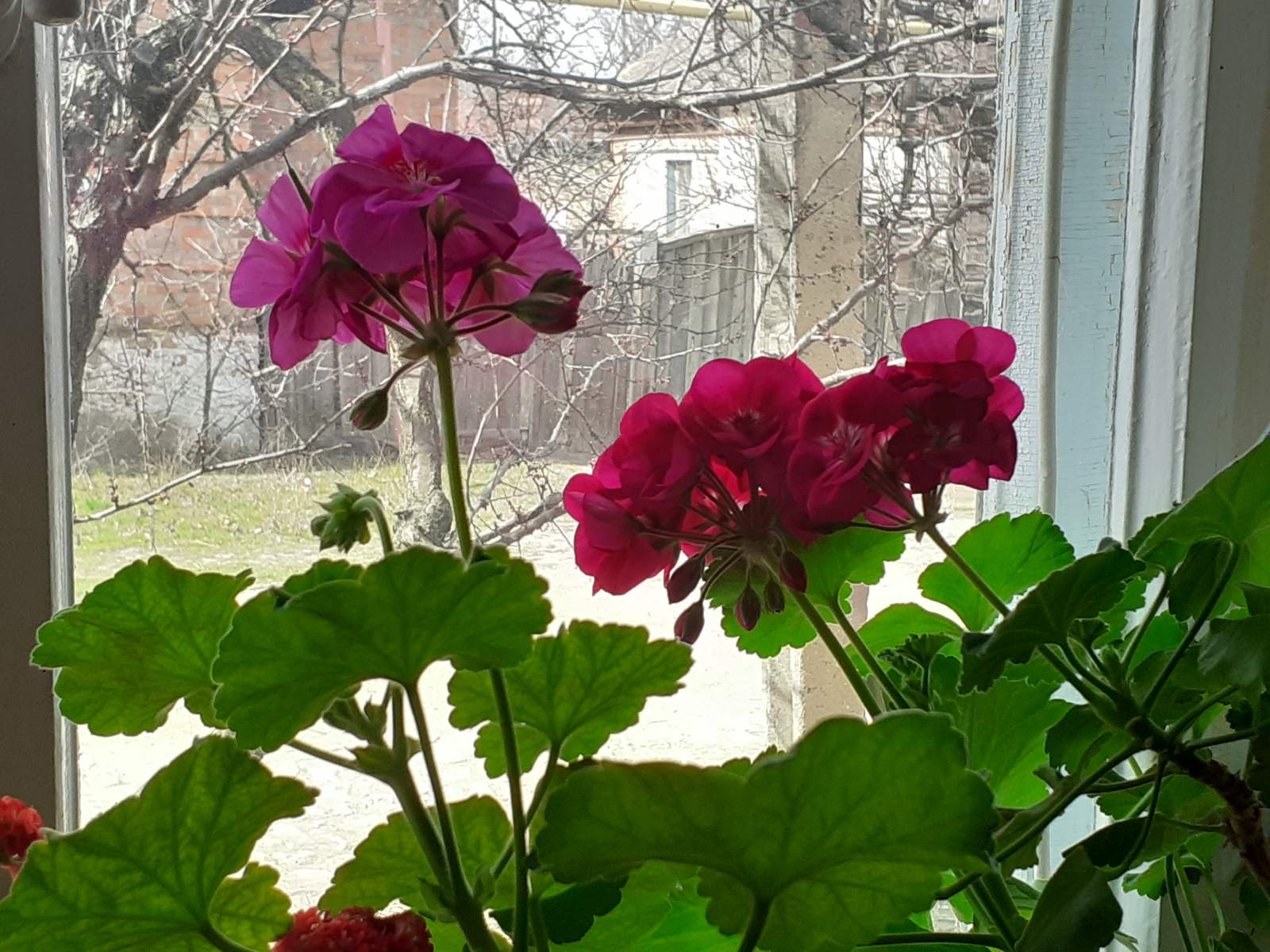 изображение_viber_2021-04-11_13-26-43.jpg