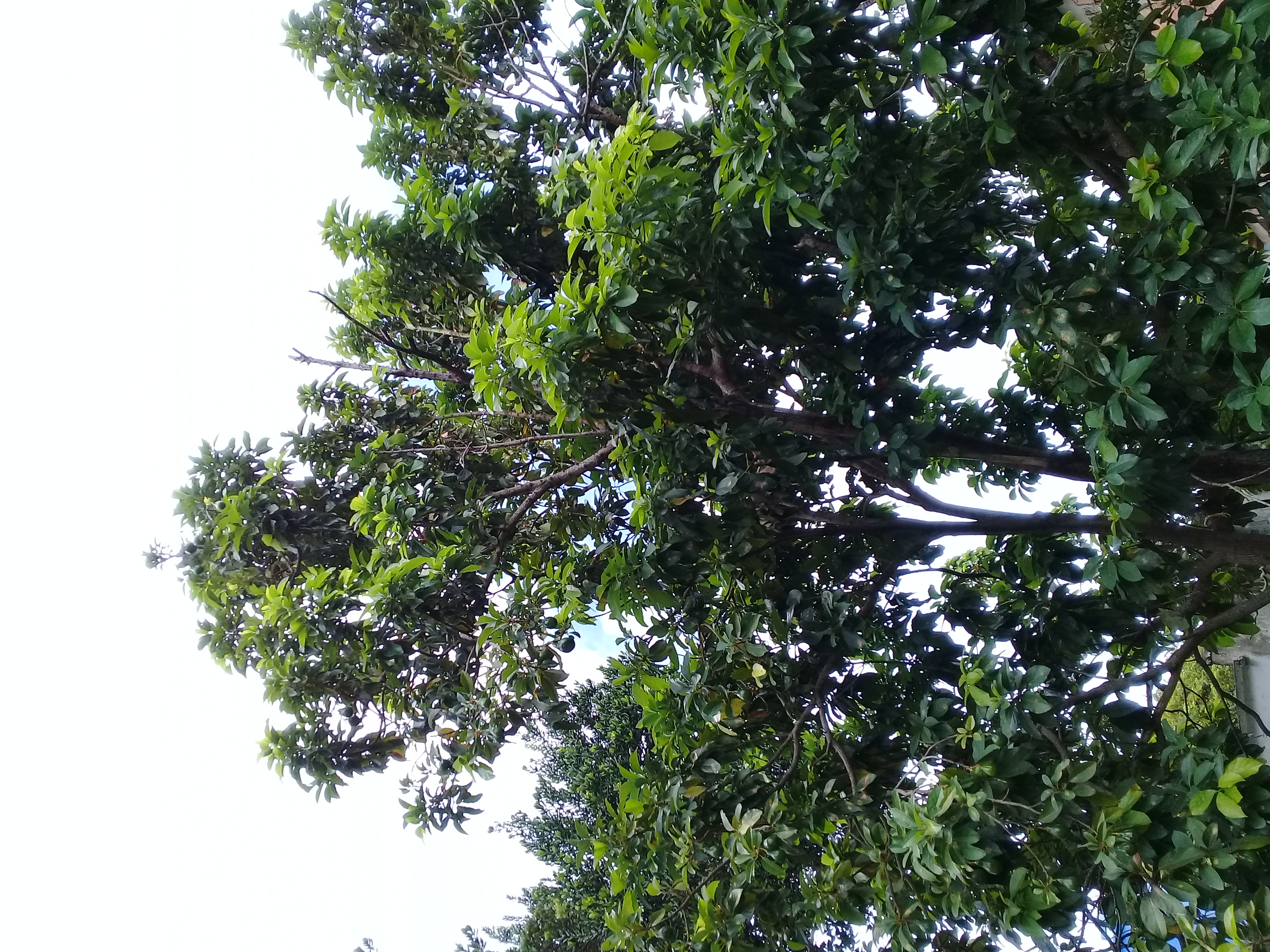 20210723_141956.jpg